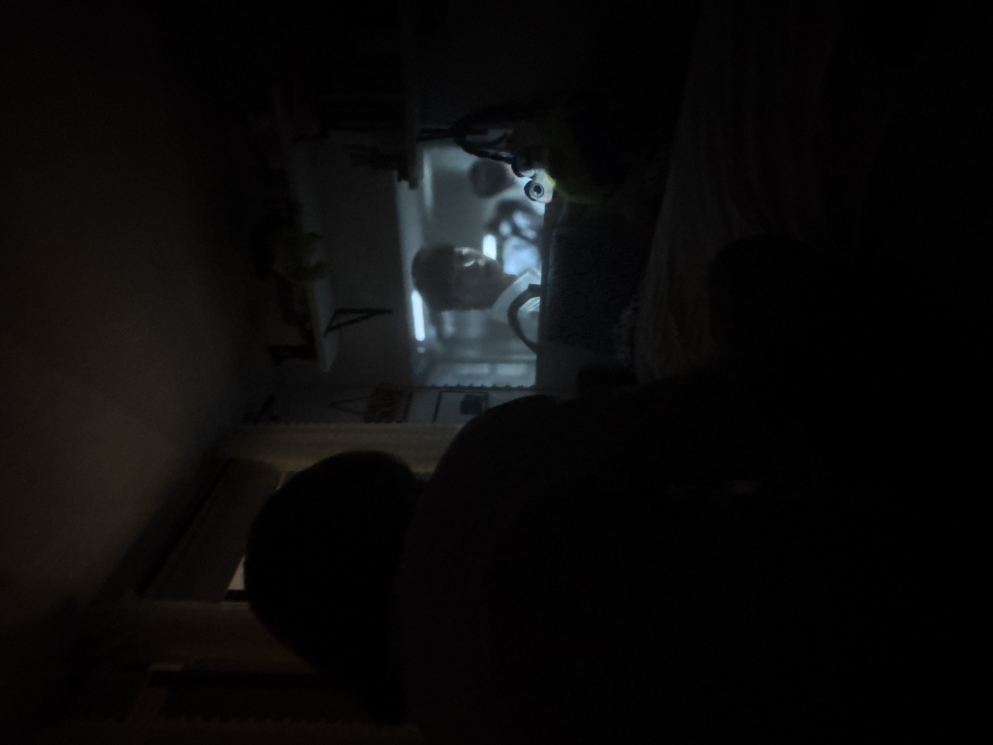 The image depicts a dark, claustrophobic interior space. It's hard to discern exact details due to the low lighting, but it appears to be a view from within a refrigerator. Inside the refrigerator, there are various items including beverages, and food in containers. A reflection of a person's face is visible in the depths of the refrigerator. The foreground is dominated by dark shapes, potentially blocking a clearer view. The location in Mexico City, Mexico is not evident from this image.