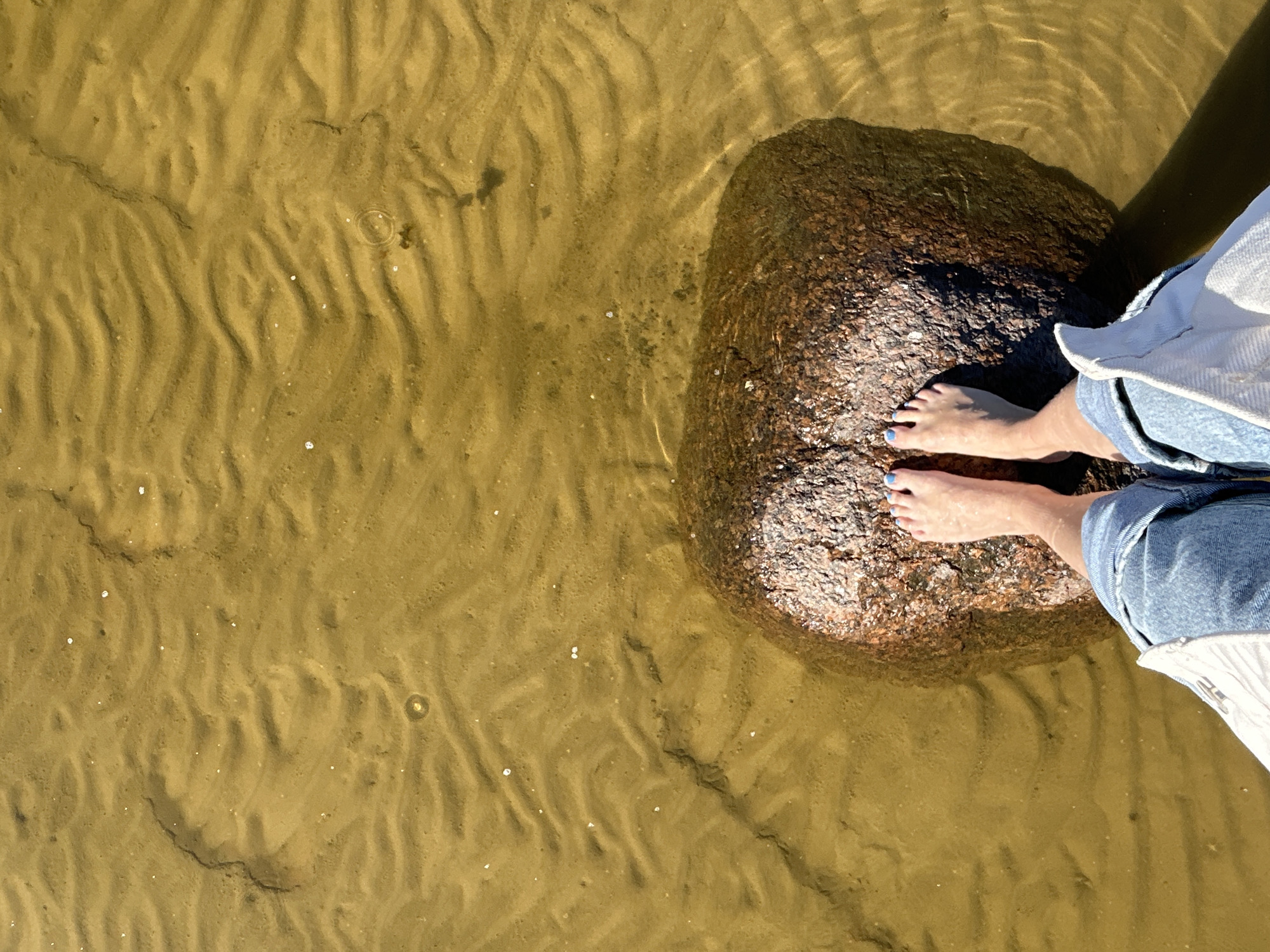 An overhead shot shows a person's bare feet with blue nail polish standing on a large, dark, rough-textured rock. The rock is partially submerged in shallow, murky, golden-brown water. The sandy bottom beneath the water is rippled, suggesting gentle water movement. The person is wearing light blue denim jeans. The location is the shore of Shepelyovo, Russia.