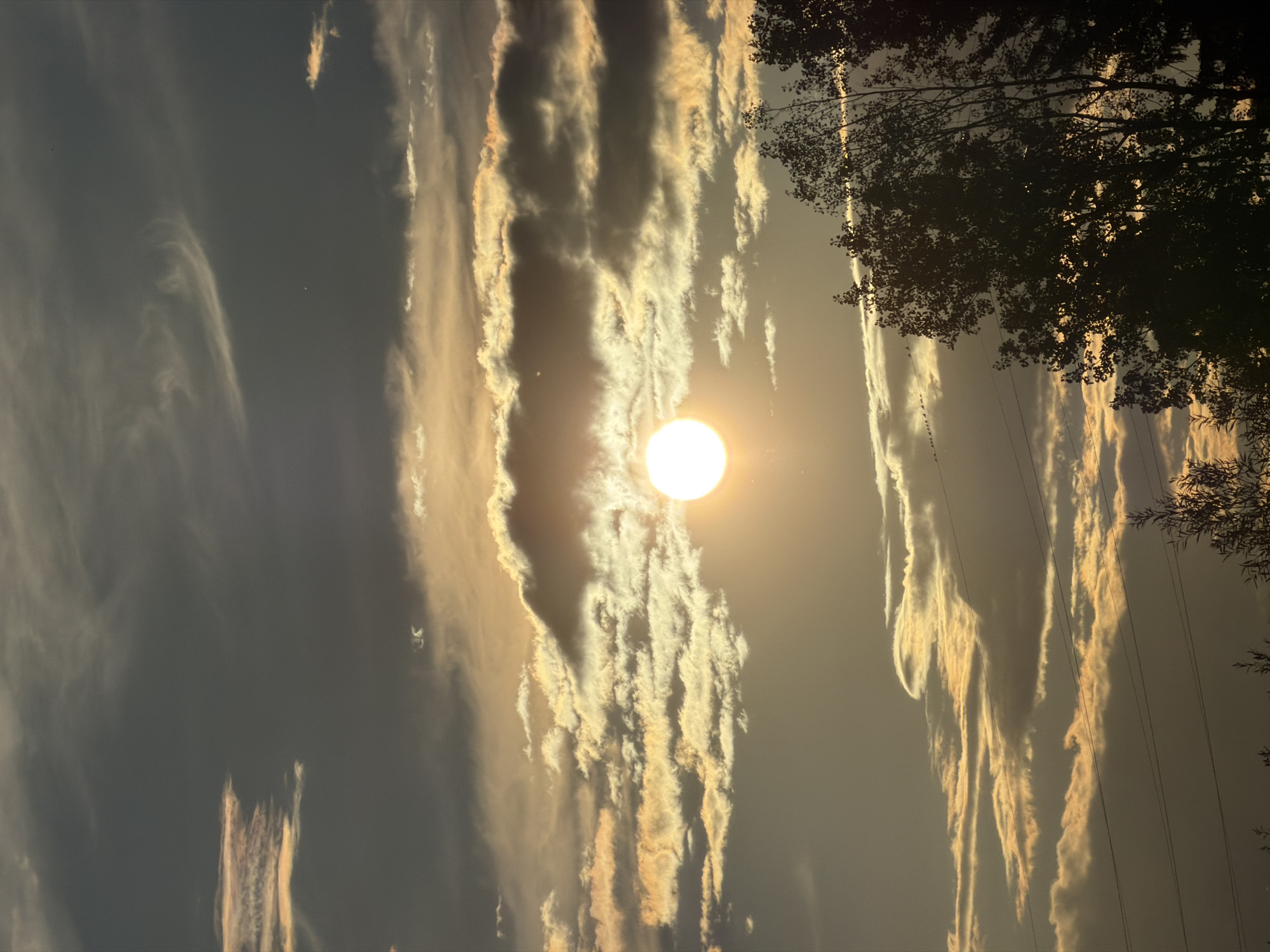 The image depicts a sunset scene in Schifflange, Luxembourg. The sun, a bright orb, is partially obscured by layered clouds, which are illuminated with golden and orange hues. The sky transitions from a dark gray at the top to lighter tones near the horizon. Silhouetted against the sky are the branches of trees in the foreground, their dark forms contrasting with the vibrant clouds. Electrical wires are visible stretching horizontally across the lower portion of the frame, with a small flock of birds perched on one of them. The overall impression is one of a natural spectacle in an urban or suburban setting.
