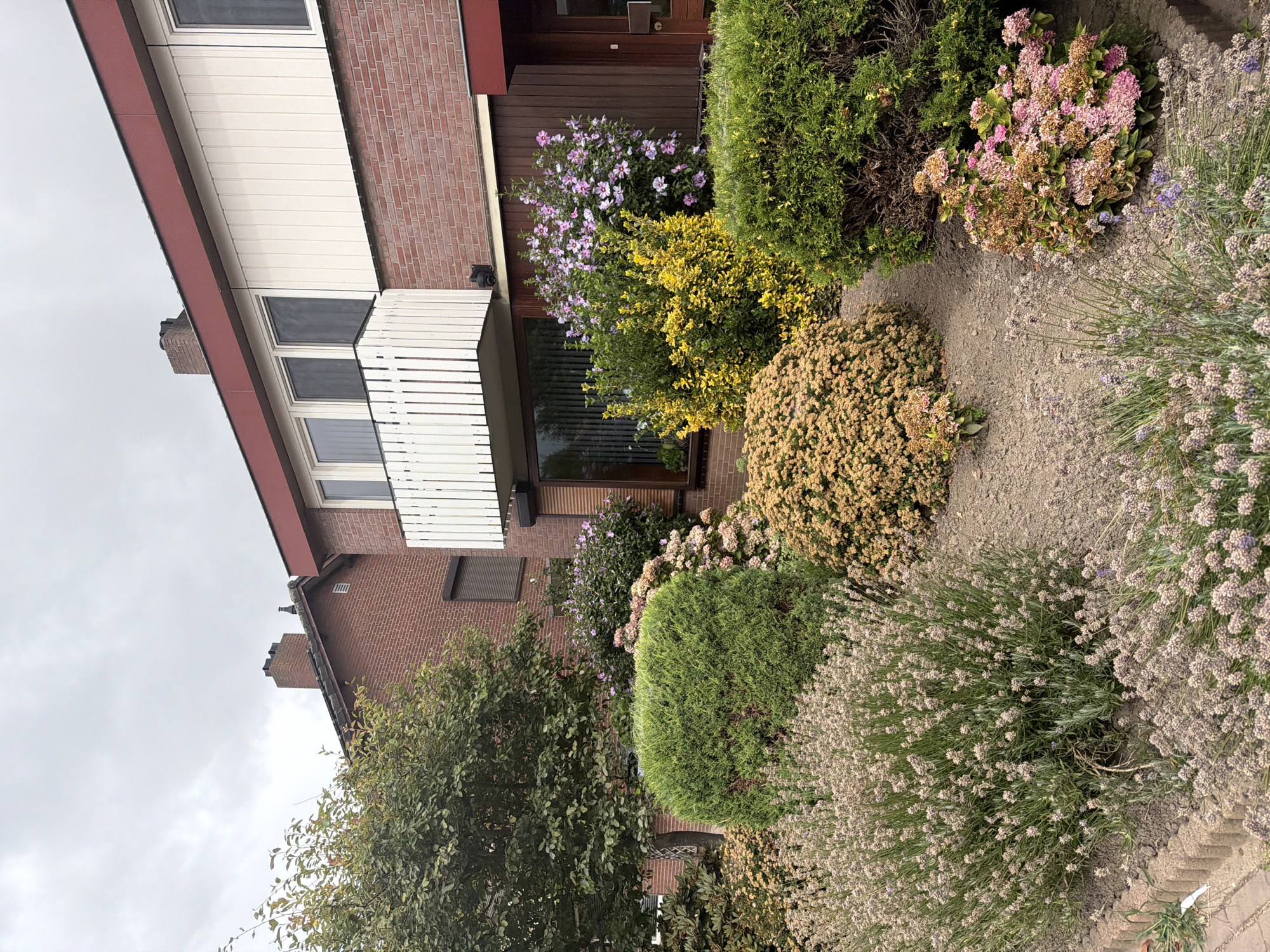 In the city of Melick, Netherlands, a well-maintained residential property features a brick house with a red-trimmed upper story and a white balcony. The front yard is landscaped with a variety of plants, including lush green bushes, flowering shrubs with pink and purple blooms, a vibrant yellow shrub, and a dense patch of lavender in the foreground. The ground is covered in mulch and gravel, with a paved walkway visible on the left. The sky is overcast, indicating a cloudy day. No people or animals are visible in the image.