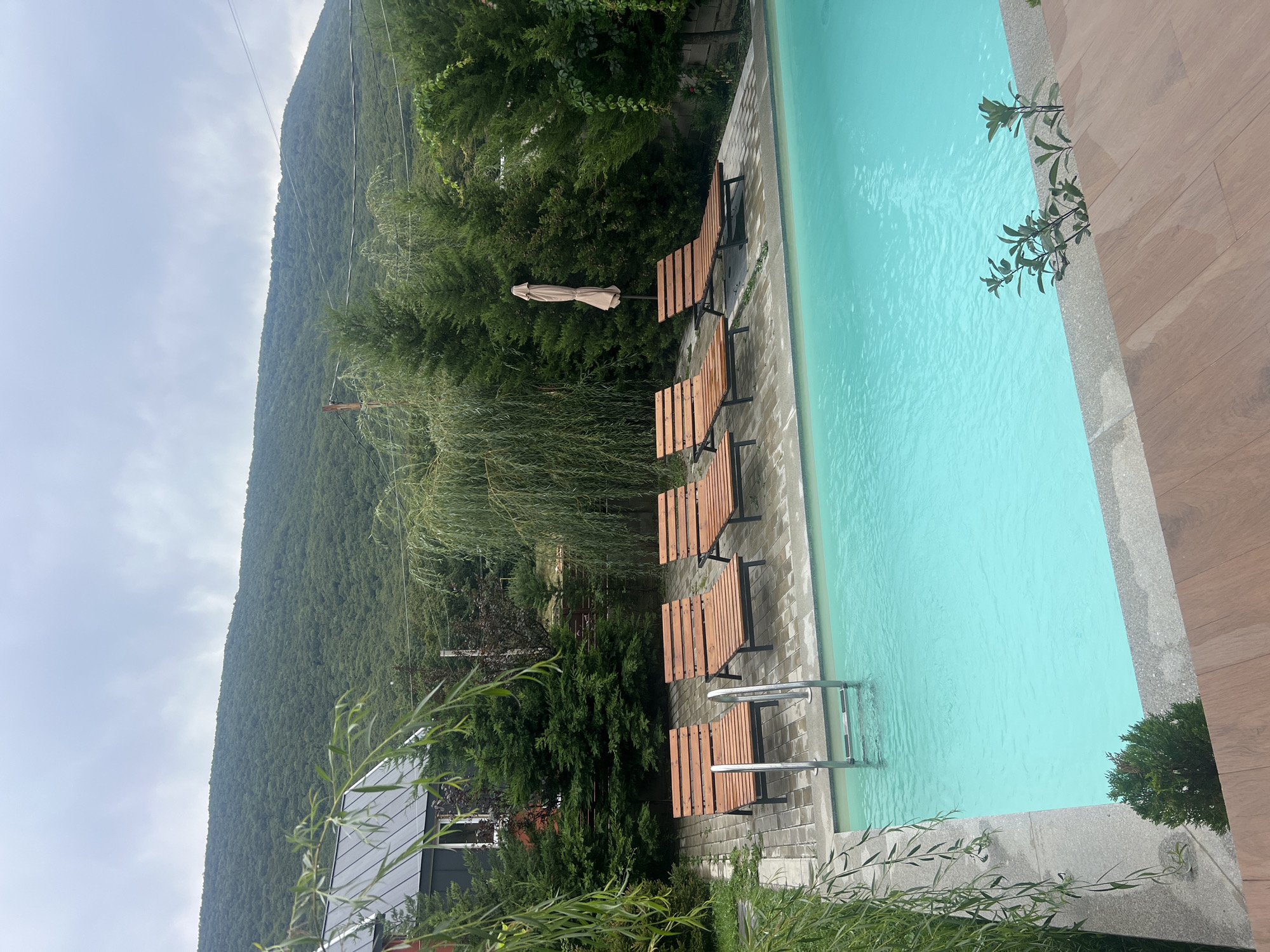 The image shows a swimming pool area with several wooden lounge chairs, a ladder leading into the pool, and lush green trees surrounding the area. In the background, there is a large, tree-covered mountain and a cloudy sky. A small building with a dark roof is visible on the left side of the frame, partially obscured by foliage. The environment suggests a serene, possibly rural or semi-rural setting, consistent with the provided location of Tsodoreti, Georgia.