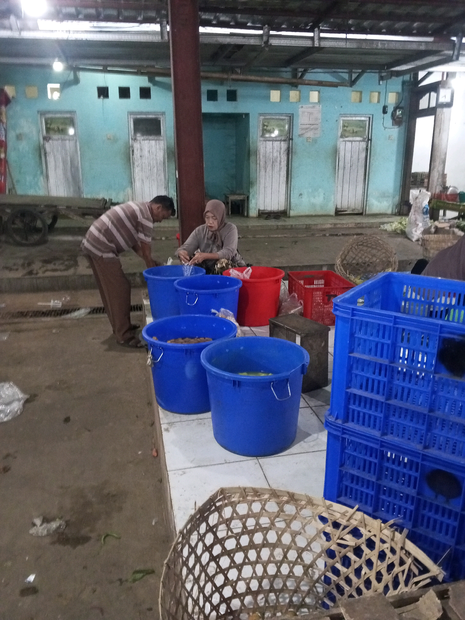 In Gentan, Indonesia, an outdoor market scene unfolds. A man, wearing a striped shirt and brown pants, is bent over, appearing to be working. Beside him, a woman in a hijab and gray clothing is seated and actively engaged in an activity, possibly sorting or preparing goods. They are positioned near several large, vibrant blue buckets, one of which contains yellow material. A red bucket and a red plastic crate are also visible, suggesting a variety of containers are in use. In the foreground, a woven basket adds to the market atmosphere. The background features a building with light blue walls and multiple white doors. A wheeled cart is partially visible on the left side of the frame. The ground is a mix of concrete and dirt, with scattered debris.