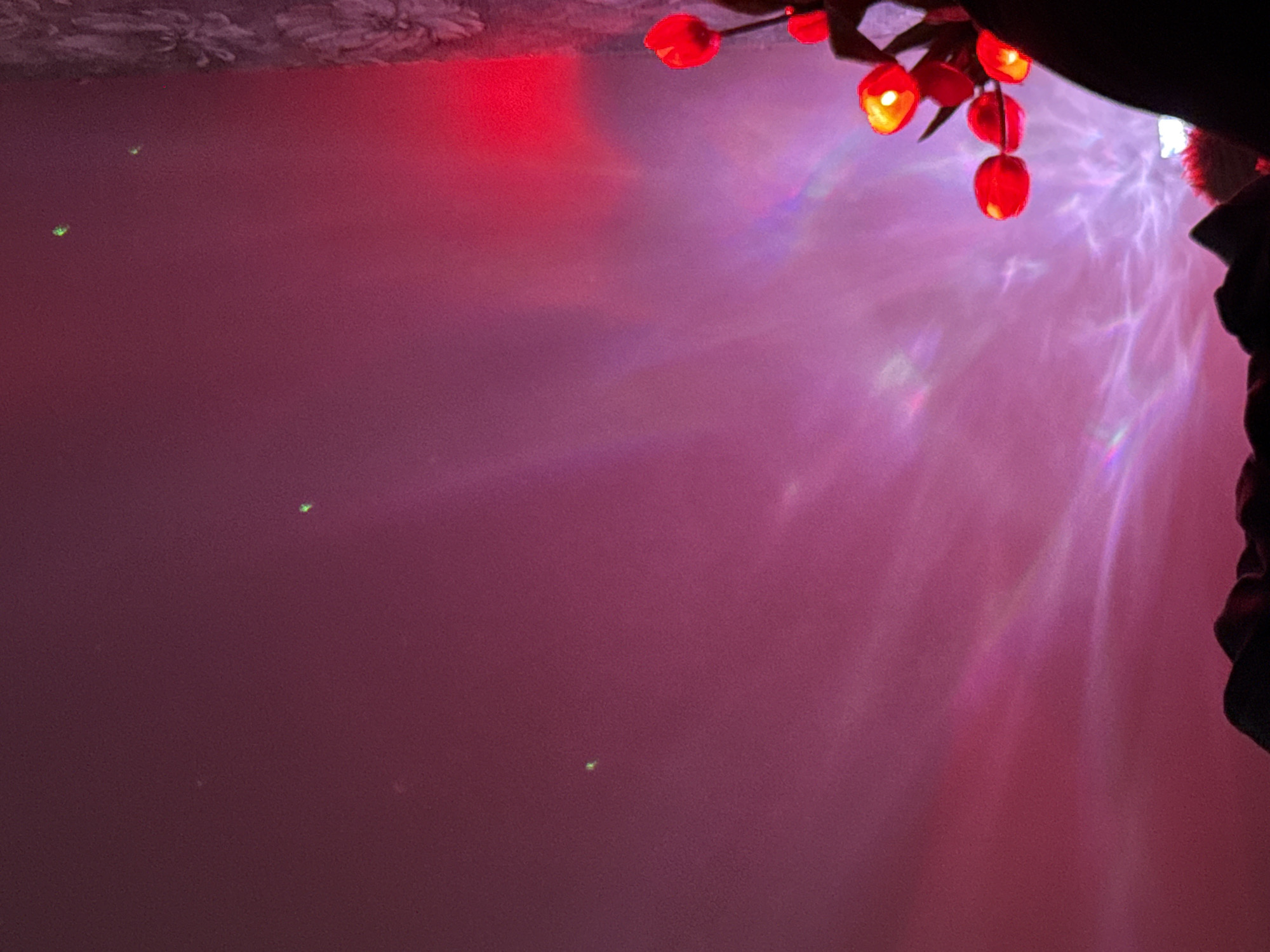 The scene is an interior space, located in the city of Unknown, Unknown. The environment is dimly lit, dominated by magenta and red light, which casts refracted or projected patterns across a smooth wall surface occupying the left and central upper frame. Multiple distinct, small, green light points are observed scattered on this wall. To the right, a decorative lighting element is partially visible, featuring several glowing red, spherical or tulip-shaped lamps mounted on dark stems. A section of patterned wallpaper, exhibiting a floral or ornate design, is visible behind this lighting element on the far right. The lower foreground consists of a dark, indistinct, silhouetted form. No individuals, actions, or interactions are discernible within the frame.
