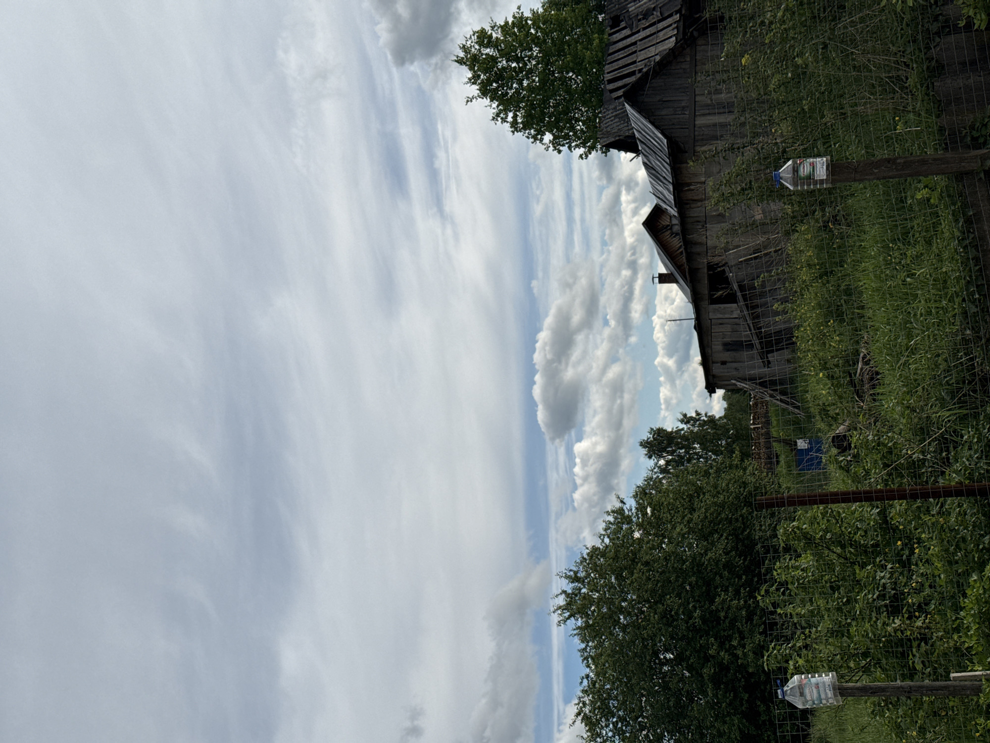 The image shows a rural scene in Уральское, Russia. The sky is predominantly filled with streaky cirrus clouds. On the right side of the image is a dilapidated wooden structure with a chimney, partially obscured by green trees and foliage. A wire fence runs through the scene, with clear plastic bottles attached to wooden posts on either side. The ground is covered in grass and vegetation.