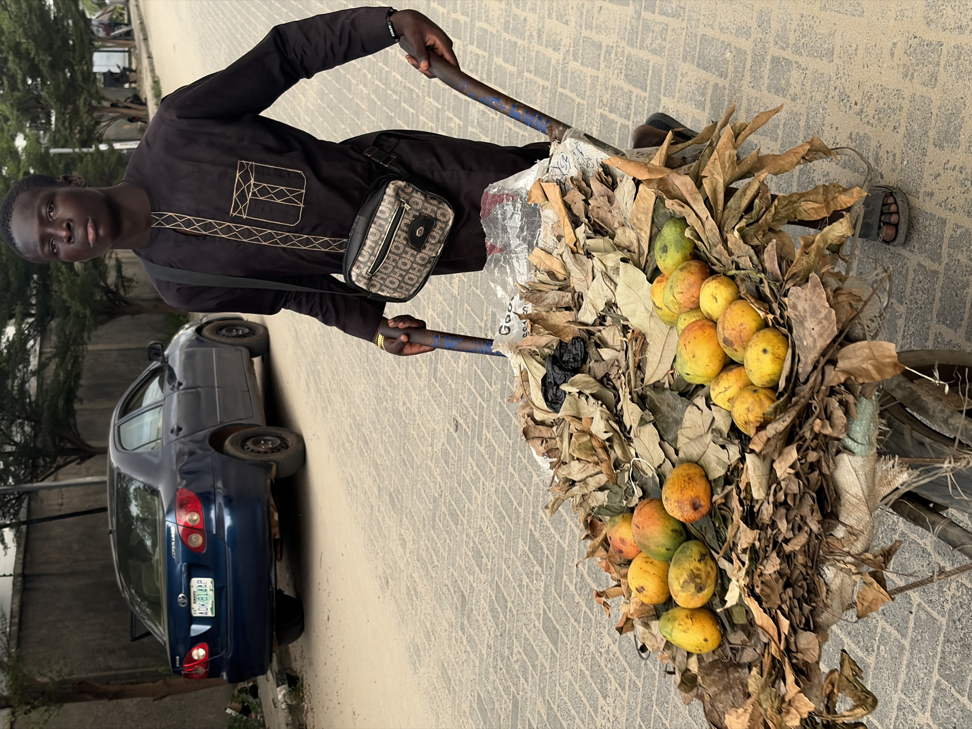 A young man stands outdoors, facing the camera, holding the handles of a loaded pushcart. He has dark skin, short dark hair, and wears a dark long-sleeved tunic with light-colored, geometric embroidery on the front and chest pocket area. A small, patterned crossbody bag with "DIOR" visible in its repeating logo pattern hangs from his right shoulder. On his left wrist, he wears a black bracelet with "AFRICA" written on it. His feet are clad in simple dark sandals.
The pushcart in front of him is heavily laden with what appear to be fresh mangoes, many of which are yellow, orange, and green, nestled amongst a large quantity of dried, brown leaves. The leaves completely cover the top and sides of the cart's contents, with some dark plastic visible near the front.
The man stands on a light-colored paved surface, made of interlocking blocks. To his left, a dark blue sedan, which appears to be a Toyota Corolla, is parked. Its license plate is clearly visible, reading "NIGERIA" at the top and "ADK814AP" below. Trees and foliage are visible in the background, suggesting a street or residential area. The lighting indicates it is daytime, possibly overcast, as there are no strong shadows. The man maintains a neutral expression as he looks towards the viewer.