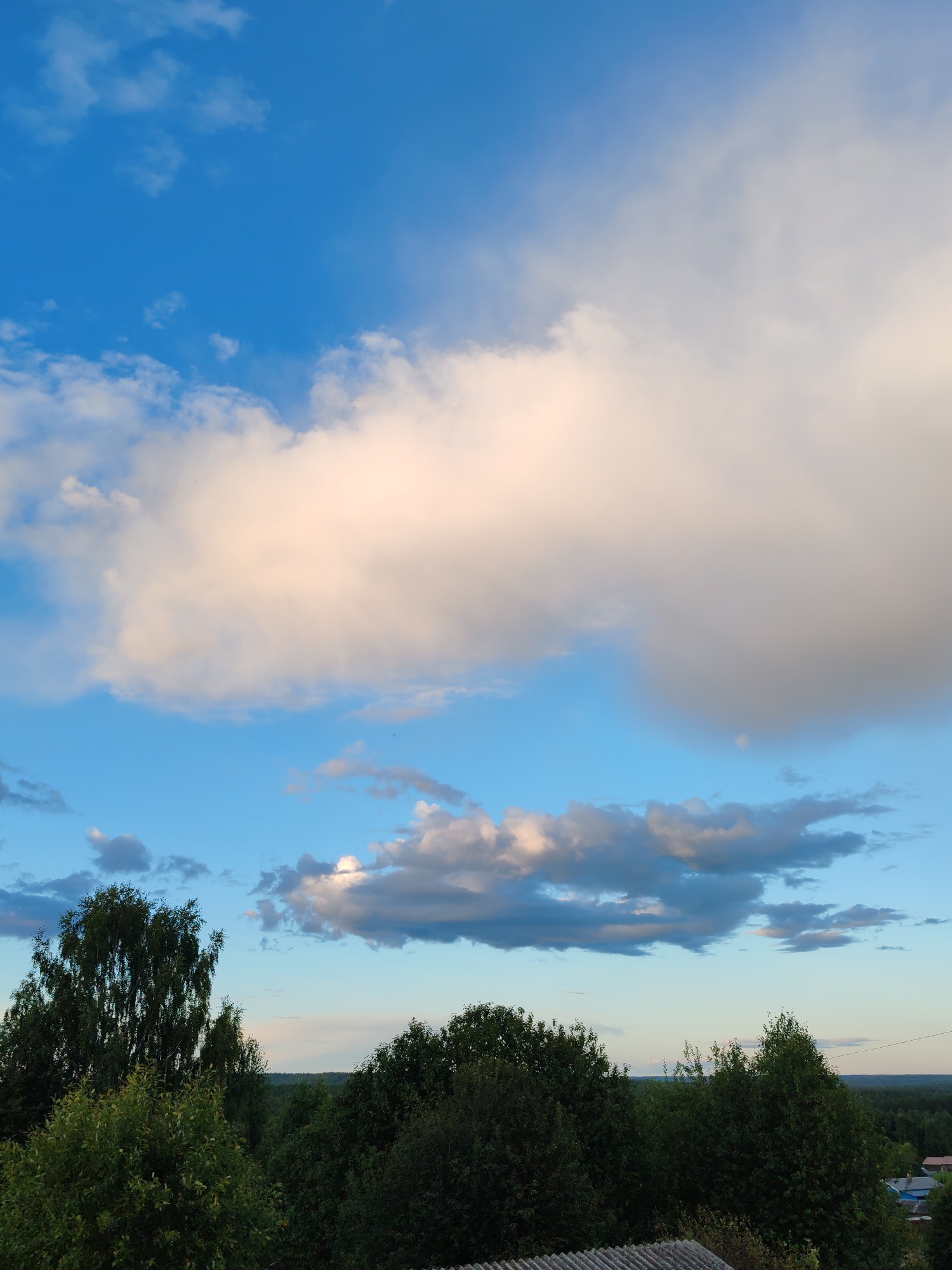 This image depicts a rural landscape under a partially cloudy sky, likely taken in or near Чухлэм, Russia. The upper portion of the frame is dominated by a bright blue sky, transitioning to lighter hues towards the horizon. Large, fluffy cumulus clouds, tinged with pink and white, occupy the upper and middle sections of the sky, suggesting either sunrise or sunset. Lower in the sky, smaller, darker clouds are visible.
The foreground is filled with dense, dark green foliage of various trees and shrubs. The dominant trees are tall and lush, with one particularly prominent birch tree with its characteristic white bark visible on the left side of the frame. The dense canopy suggests a wooded area.
In the far distance, a thin line of trees marks the horizon, beyond which hints of man-made structures, possibly houses with roofs of varying colors, are discernible. A thin, dark line, likely a power line or wire, stretches horizontally across the distant sky on the right side of the image. The overall impression is one of a tranquil, natural setting with a touch of human presence in the background. No people are visible in the image. The ground is not clearly visible, but the presence of what appears to be a corrugated roof in the lower right corner suggests that the vantage point is from an elevated position, possibly a building or structure.