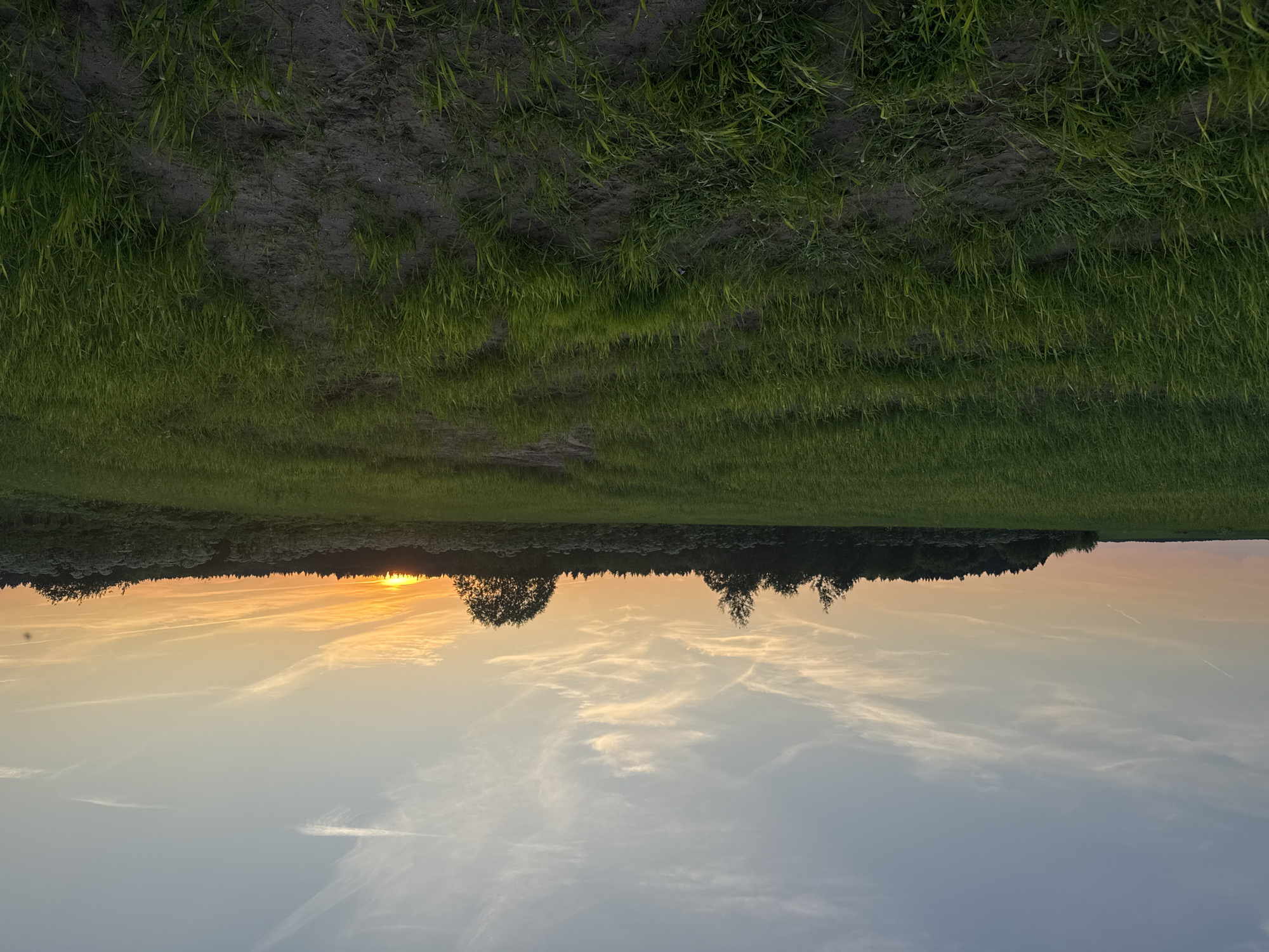 This image depicts a pastoral scene at sunset in Сорвино, Russia. The frame is oriented vertically, with the ground appearing at the top and the sky at the bottom. The upper portion of the image shows a field of lush green grass with patches of dark, damp soil, suggesting recent rain or a moist area. The grass is tall and somewhat wild, with blades bending and swaying.
The lower part of the image captures a serene sunset. The sun, a bright orange orb, is partially obscured by the silhouette of a treeline that spans the horizon. The sky transitions from warm hues of orange and yellow near the sun to lighter shades of blue and gray further up, with wispy white clouds adding texture. The treeline is dense, with individual trees discernible against the vibrant sky. The overall mood is peaceful and tranquil, evoking the quiet beauty of a rural evening. No people, objects, or text are visible in the image.