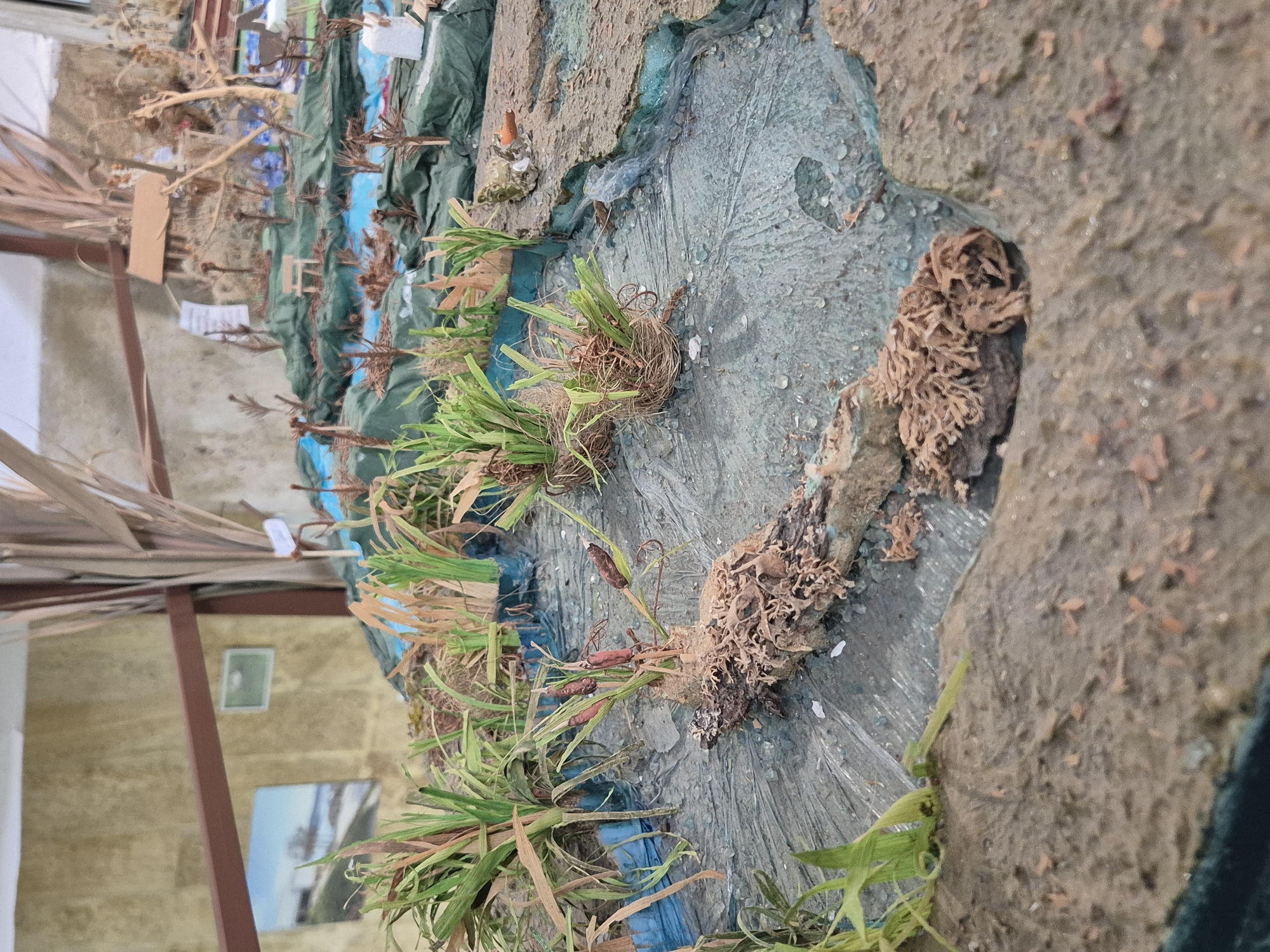 The image depicts a diorama representing a natural environment, likely a wetland or shoreline. There are artificial grasses, simulated water with a textured surface, and terrain resembling soil or mud. Various plants and root-like structures are placed throughout the diorama, suggesting a marshy or riparian ecosystem. The construction appears to be on a table or surface indoors, with parts of a room visible in the background, including a window, walls, and wooden beams. Given the presence of Srebarna, Bulgaria in the context of the request, the diorama potentially represents a scene from the Srebarna Nature Reserve, known for its diverse birdlife and wetland habitat.