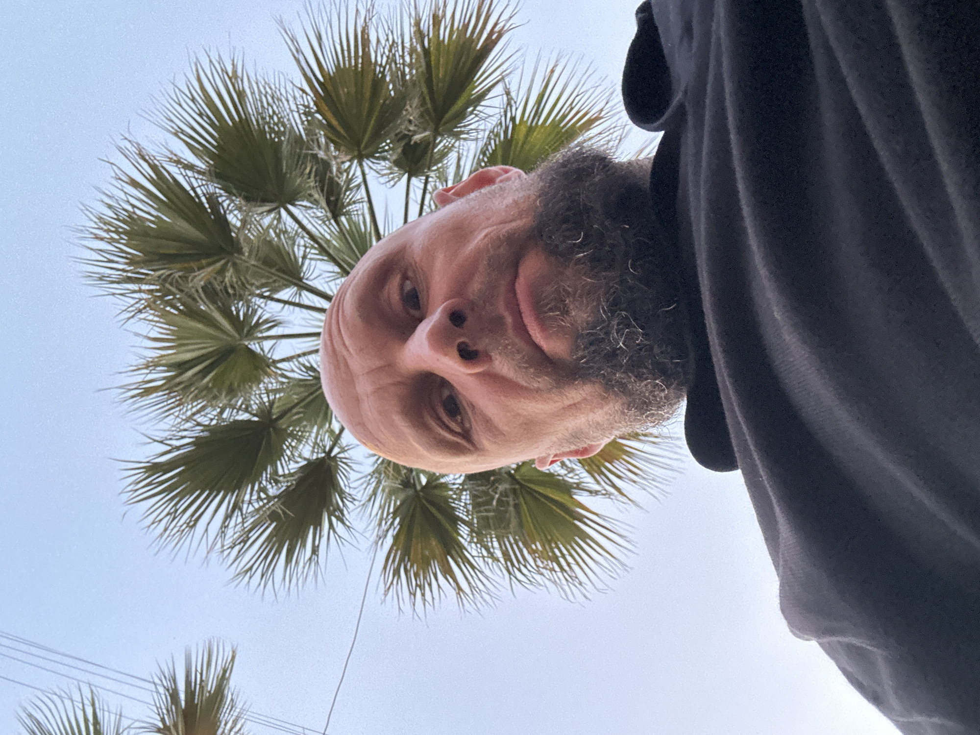 A low-angle, close-up, full-frame selfie captures a bald, middle-aged man with a beard looking upwards. He is wearing a black shirt. Behind him, a palm tree's fronds fan out against a clear, pale blue sky, with some utility wires visible in the upper left corner. The image appears to be taken outdoors, possibly in a warm climate, with no specific indicators to pinpoint it to Sochi, Russia.