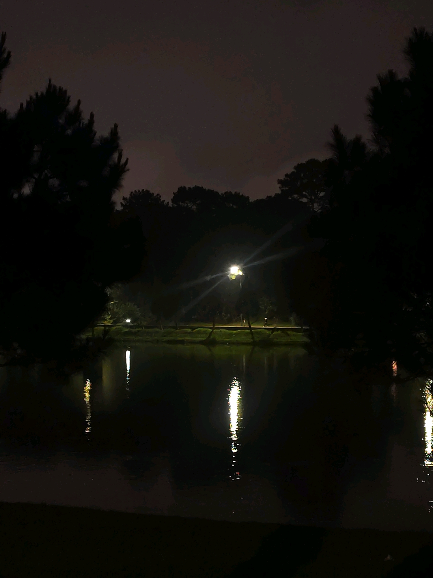 This is a night scene captured at Xuan Huong Lake in Da Lat, Vietnam. The image is dominated by darkness, with the sky appearing cloudy and overcast. Silhouetted pine trees frame the left and right sides of the composition, their dark forms stark against the dim sky.
In the mid-ground, a body of water, presumably Xuan Huong Lake, reflects the limited light. A single streetlamp illuminates a patch of the path bordering the lake, casting a bright glow and emanating light beams. This light is also reflected in the water as a vertical streak of white and yellow. Further reflections of what appear to be other lights, perhaps from buildings or other lamps, are visible as scattered, elongated shapes on the water's surface. The shoreline is lined with trees, also appearing as dark silhouettes. The overall impression is one of a quiet, dimly lit urban park at night.