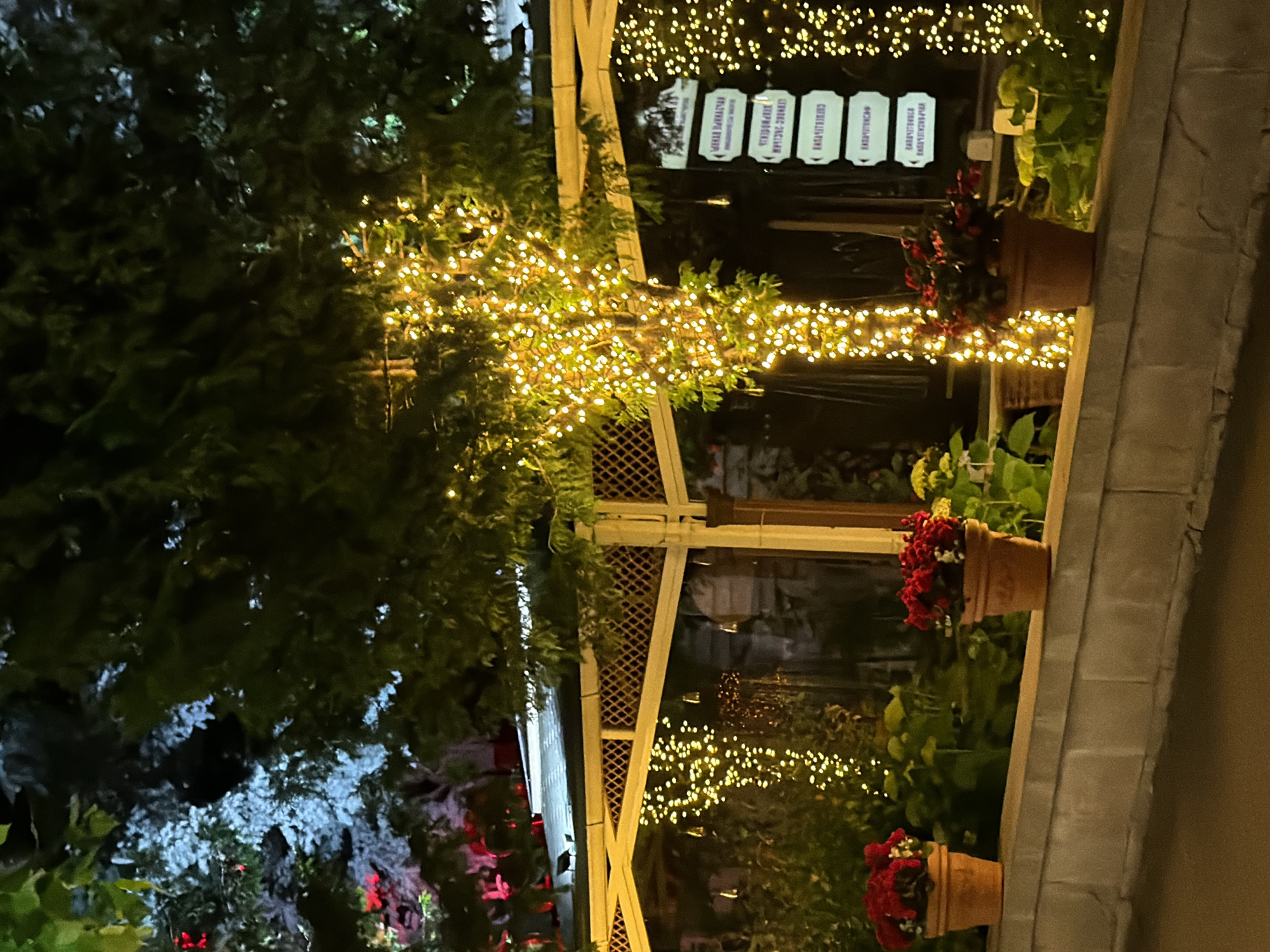 This image depicts a nighttime scene in Kislovodsk, Russia, featuring an outdoor area decorated with numerous string lights. A tree is heavily adorned with warm-toned lights, creating a luminous centerpiece. Further to the left, string lights hang in a cascading fashion, illuminating a sheltered structure with a white lattice design and a sloping roof. In the foreground, a stone wall borders a raised garden bed where three terracotta pots hold red flowers. The background consists of foliage, some of which appears to be illuminated by artificial light, and a building with windows that are not clearly visible due to the darkness and lighting effects. A sign with multiple entries, written in Cyrillic, is mounted on the right side of the structure. The overall ambiance is festive and inviting, likely a commercial or recreational outdoor space.