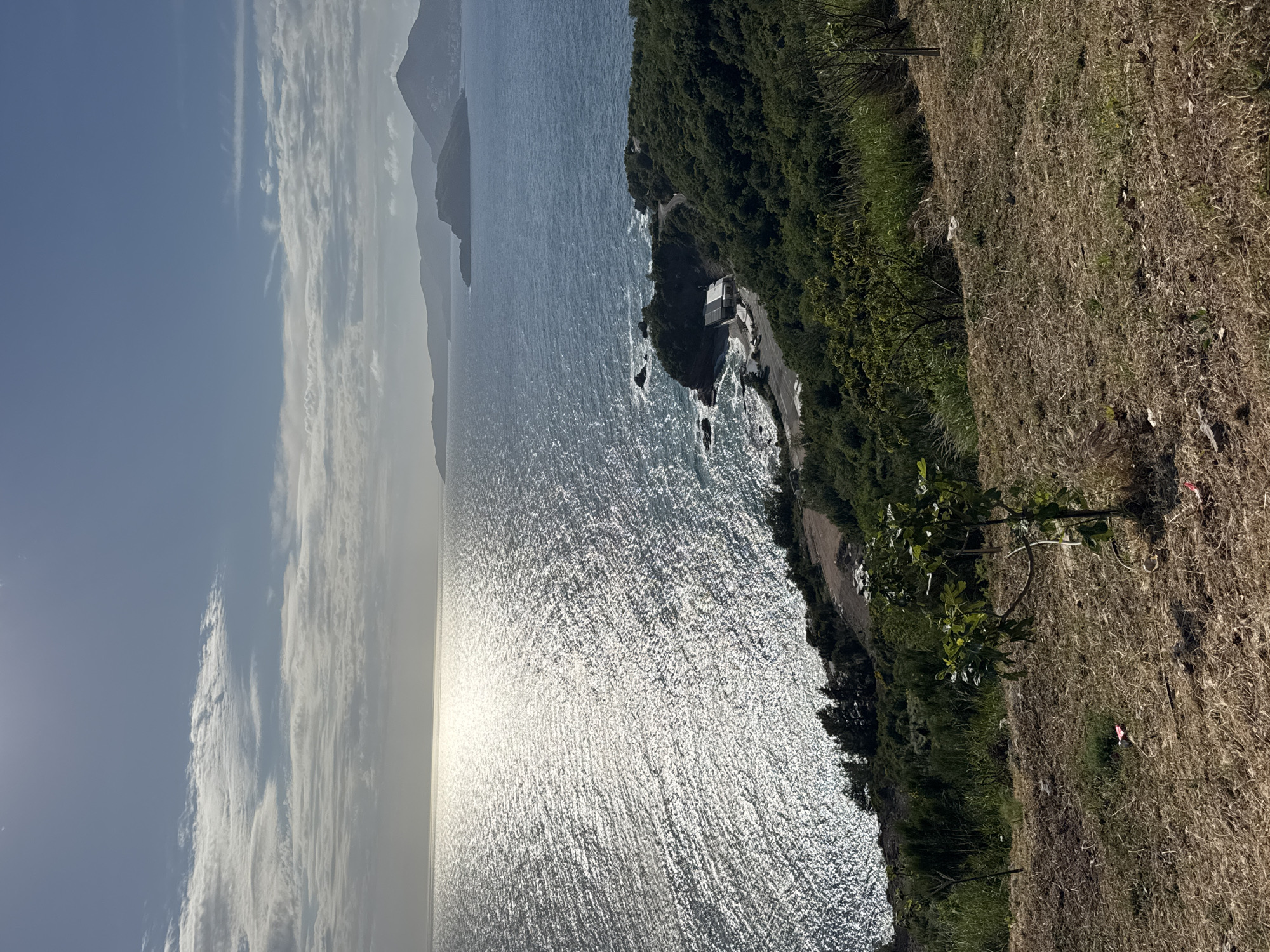 The image captures a coastal scene in Blizikuće, Montenegro, featuring a view of the Adriatic Sea and the surrounding landscape. The left side of the image is dominated by the sky with scattered clouds and the sea reflecting sunlight. In the background, land masses are visible in the distance. The right side of the image shows a coastline with dense green vegetation, a road winding along the edge, and a patch of dry, brown grassland. A few small buildings are visible on the coast. There are a couple of small trees in the foreground.
