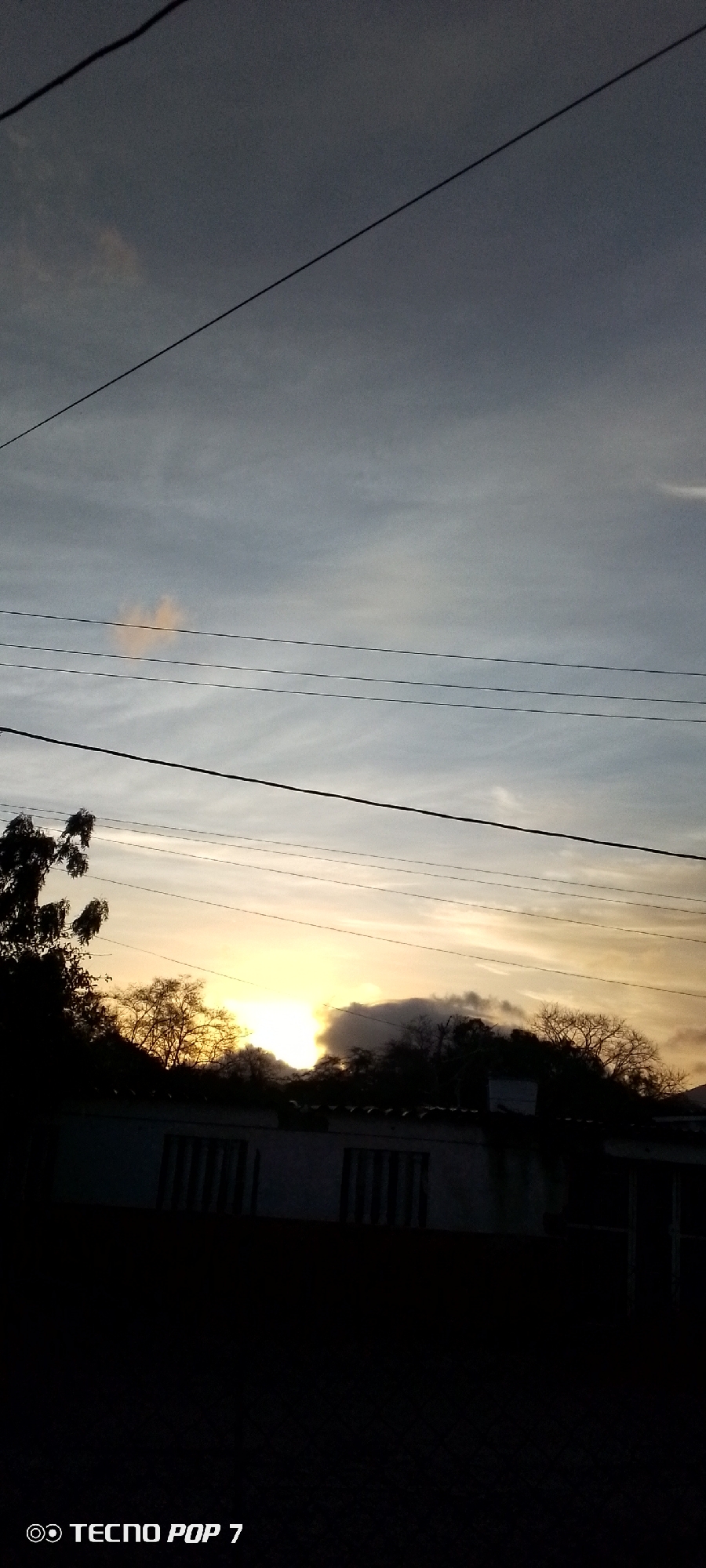 The image depicts a twilight scene in Altagracia, Venezuela. The sky is a gradient of grays and yellows, with the setting sun visible through the trees. Power lines run across the upper portion of the frame. The foreground is mostly dark, obscuring the base of what appears to be a building with a corrugated roof. The bottom left corner of the image has "TECNO POP 7" visible. The lighting suggests it is either dawn or dusk.