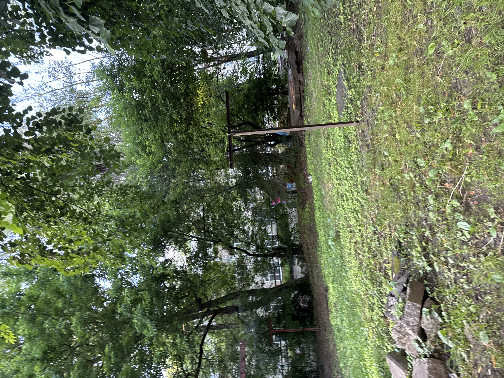 The image shows an outdoor scene with lush green trees and grass. In the foreground, there is a large tree trunk on the right, with its bark textured and covered in moss. The ground is covered in a mix of grass and smaller plants, with some stones scattered near the base of the tree.
In the midground, a wooden clothesline structure is visible, with a horizontal bar supported by two vertical poles. Beyond the clothesline, there are more trees, their leaves creating a dense canopy. Peeking through the trees, a building with white window frames is visible, suggesting a residential or institutional setting. A few colorful objects, possibly clothing or toys, can be seen near the building, hinting at human presence.
The scene is bathed in natural light, suggesting it is daytime, possibly late afternoon due to the soft lighting and shadows. The overall atmosphere is serene and natural, with the greenery dominating the frame. There is no visible text in the image. The location context places this scene in Mikhaylovsk, Russia, a detail that helps to understand the general environment and architecture, if any is discernible.