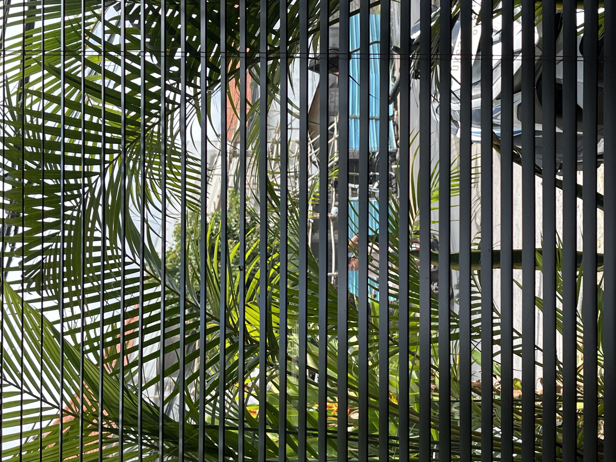 The image captures a view through a dark metal fence in Kuta Selatan, Indonesia. The fence, composed of vertical bars, obscures parts of the scene behind it. Palm leaves, lush and green, are visible between the bars, creating a juxtaposition of nature and artificial structure. In the background, glimpses of buildings and scaffolding can be seen, with hints of blue and brick-red colours, possibly indicating construction or renovation work. The natural light suggests daytime.