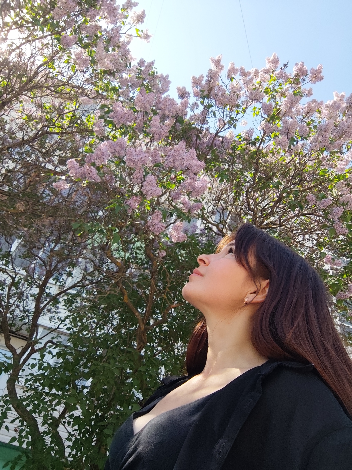 A woman with long, dark hair, wearing a black top, looks up at a lilac tree in full bloom. The tree's light purple flowers fill the upper half of the frame against a clear blue sky. The lower portion of the tree reveals more green foliage and a hint of a white building in the background. Based on available information, the location is likely in the city of Chaikovsky, Russia.