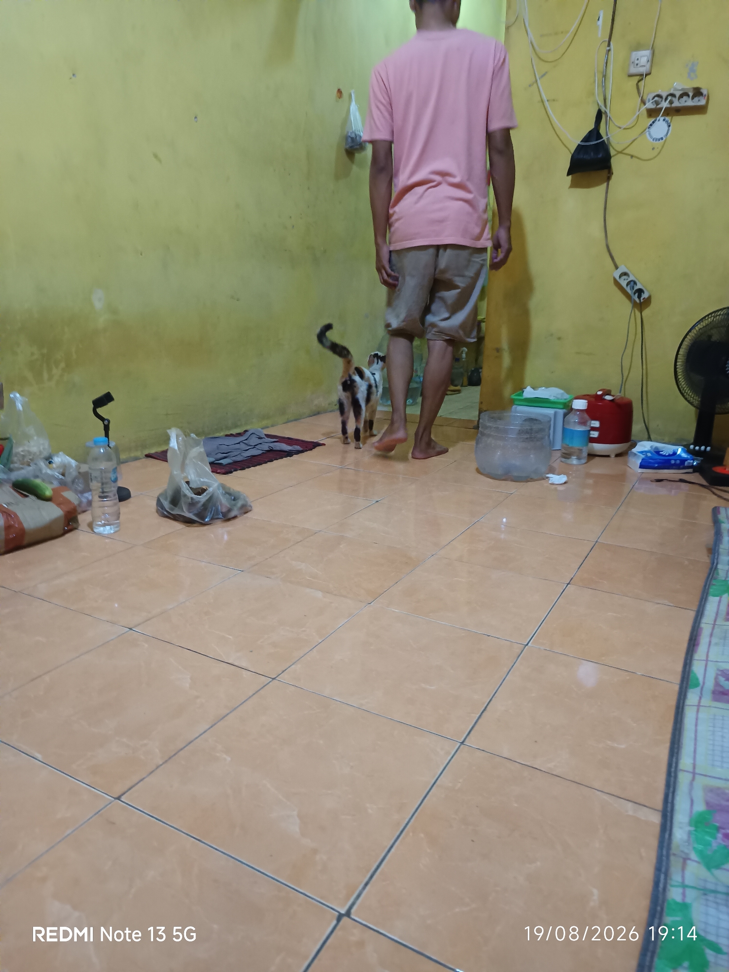 The image depicts an indoor scene, likely a room in a residential building in Talaga Sari, Indonesia. A person wearing a pink t-shirt and beige shorts stands facing away from the camera, walking towards the right side of the frame. Beside the person, a calico cat with black, white, and orange markings walks away from the camera. The room has yellow walls and a tiled floor. Various objects are scattered around the floor, including plastic bags containing what appear to be food items, a bottle of water, a small black object on a stand, a red rice cooker, a clear plastic container filled with ice, a box of tissues, and a black electric fan in the background. Electrical outlets and cords are visible on the wall. A mat with a dark pattern is on the floor near the cat. The lighting is dim, casting shadows. A timestamp in the bottom right corner indicates the date as 19/08/2026 at 19:14, and "REDMI Note 13 5G" is displayed in the bottom left corner.