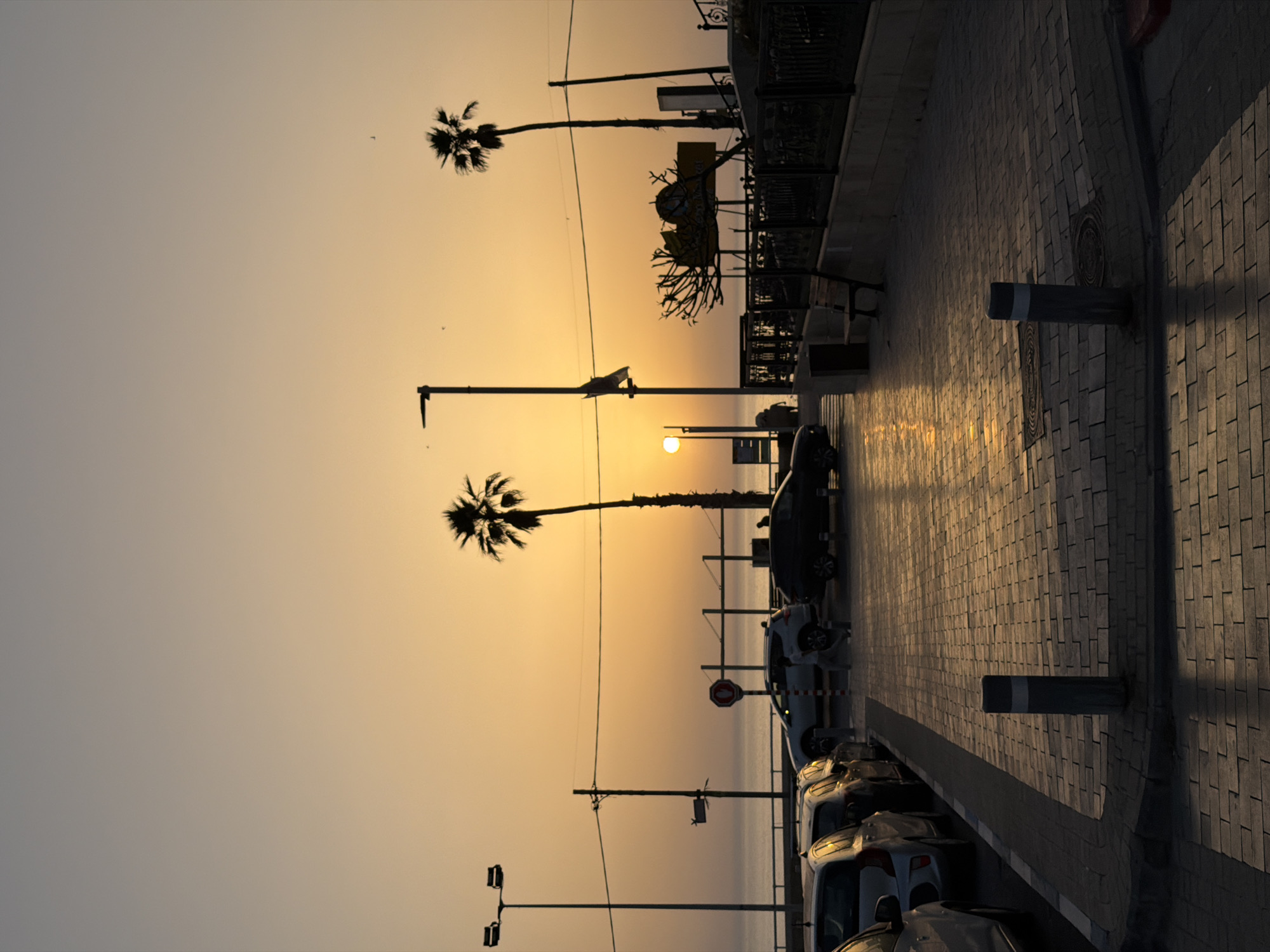 The image captures a street scene in Bat Yam, Israel, at sunset. The sky transitions from light grey to orange. Silhouetted palm trees stand against the sky, interspersed with street lights and utility poles. A row of parked cars lines the left side of the frame, their shapes vaguely defined by the dim light. A pathway runs along the right side, paved with cobblestones reflecting the setting sun's glow. The pathway is lined with a low railing, benches, and bollards. The sea is visible as a faint line in the background.