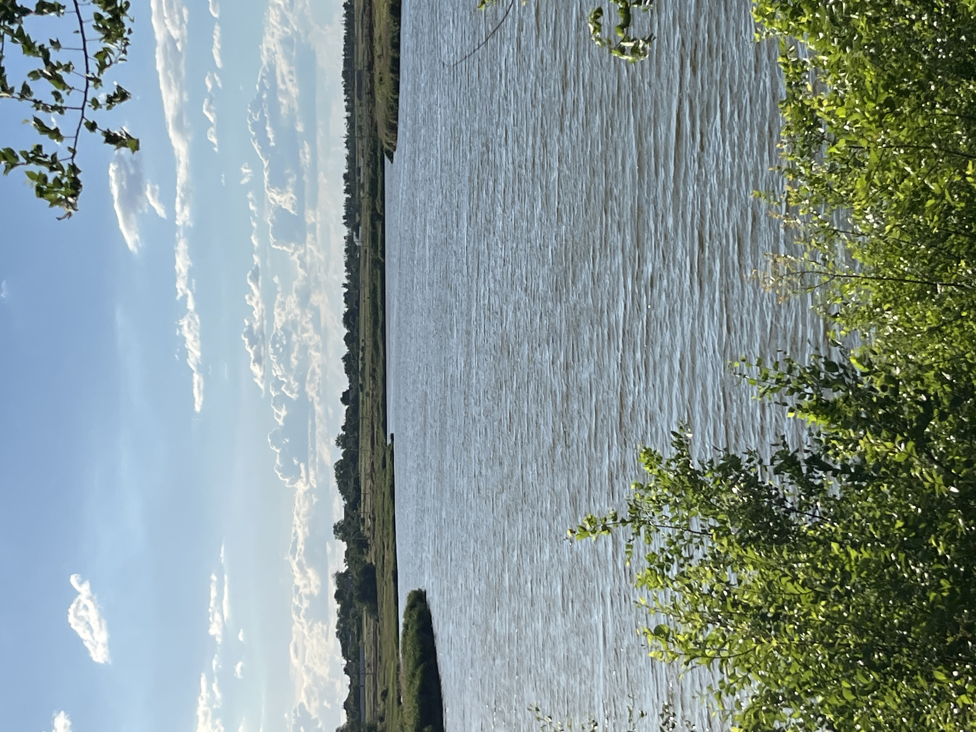 The image shows a calm body of water, likely a river or lake, with ripples reflecting the blue sky and scattered white clouds. The foreground is dominated by lush green foliage, with trees and bushes extending into the frame from the bottom and right edges. In the background, there is a flat, grassy shoreline with a line of trees and some buildings visible in the distance, suggesting a rural or semi-rural setting. The sky is partly cloudy, with a bright blue expanse. The scene appears to be set in the city of Shyroka Dacha, Ukraine, likely during daylight hours given the brightness and the clear sky. There are no people or animals visible in the image. The overall atmosphere is tranquil and natural.