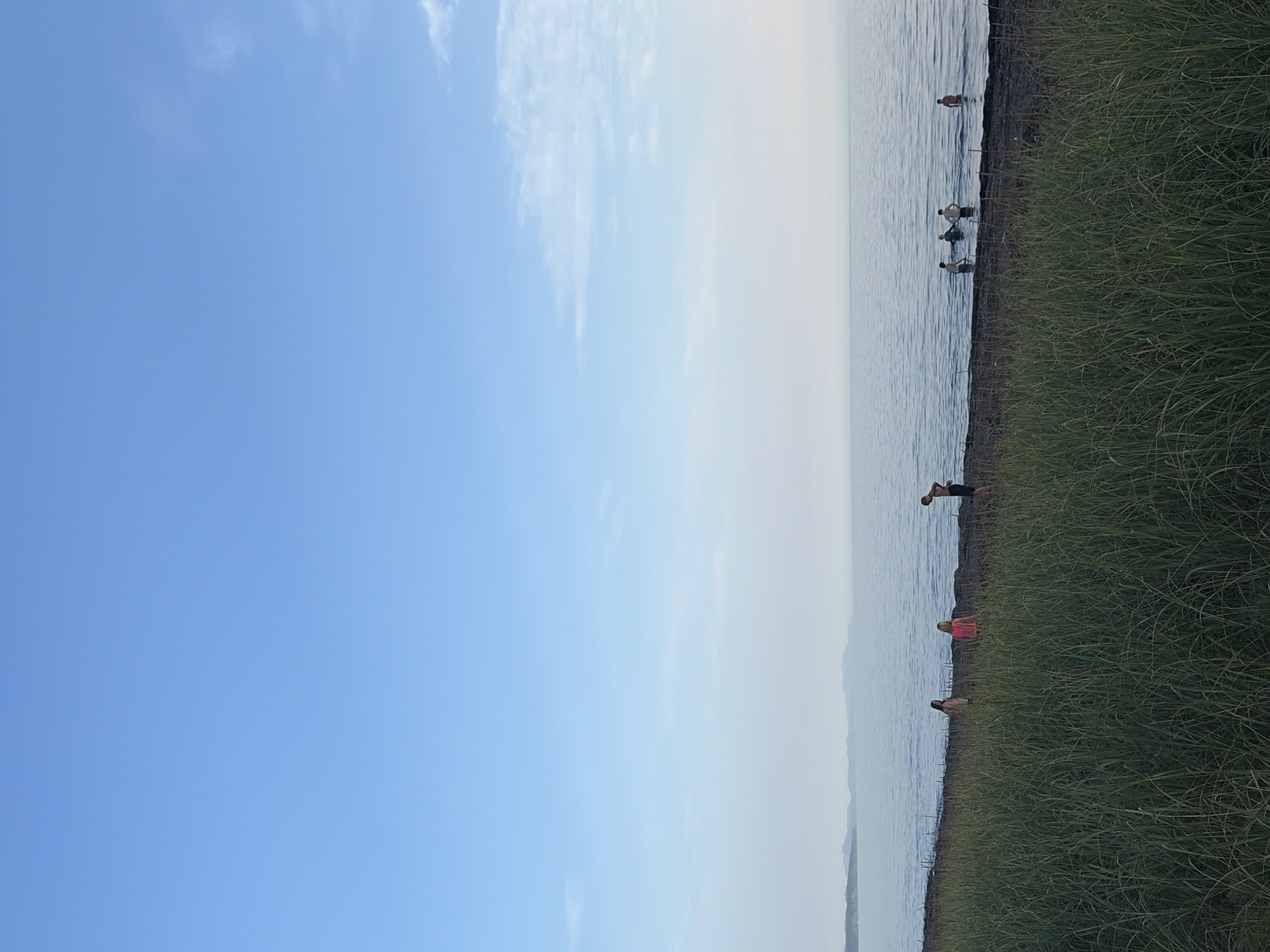 A wide shot captures a tranquil scene at the shore of Ozerskoe, Russia. The expansive sky transitions from a clear, bright blue at the top to a lighter hue near the horizon, with faint wisps of clouds. The calm, blue water of the lake stretches to meet the distant, hazy outline of hills. In the foreground, tall, green grass grows along the dark, pebbly shore. Several individuals are visible near the water's edge and in the shallow water. On the shore, three figures are present: one woman wearing a light-colored top and dark bottoms, another woman in a pink top and dark bottoms, and a male figure standing with his back to the camera. Further out in the water, a group of at least four individuals are wading or swimming. The overall atmosphere is peaceful and serene, suggesting a relaxed day by the water.
