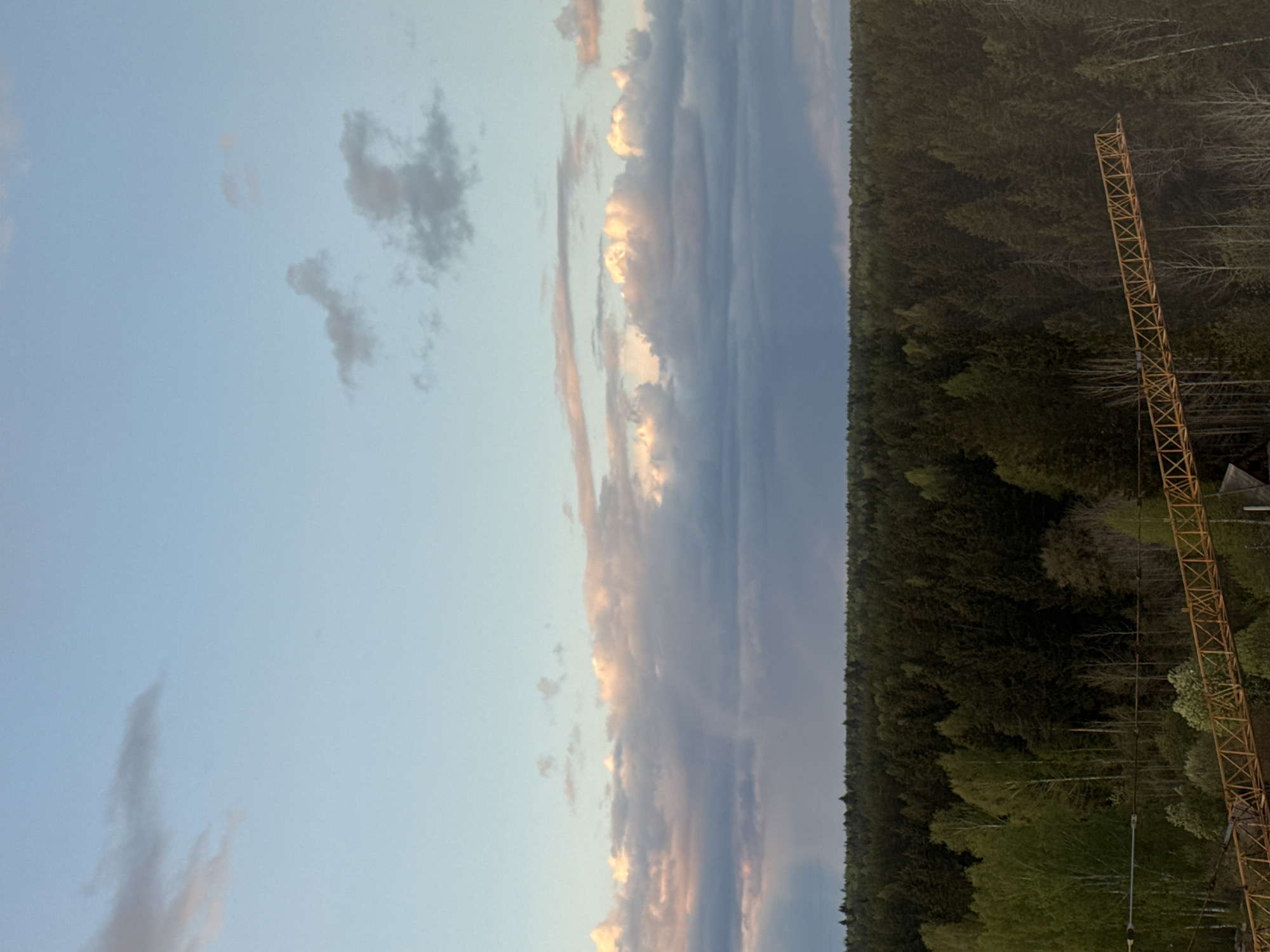 The image depicts a twilight scene with a mixed sky, a dense forest, and a construction crane. The sky consists of a gradient from pale blue on the left to darker, striated clouds on the right, some of which are touched with pink and golden light from the setting or rising sun. Adjacent to the sky, a dense evergreen forest stretches across the right side of the image. A large orange construction crane is situated at the edge of the forest, its lattice structure sharply contrasting with the organic forms of the trees. There is no immediate indication of this being Izhevsk, Russia within the image itself.