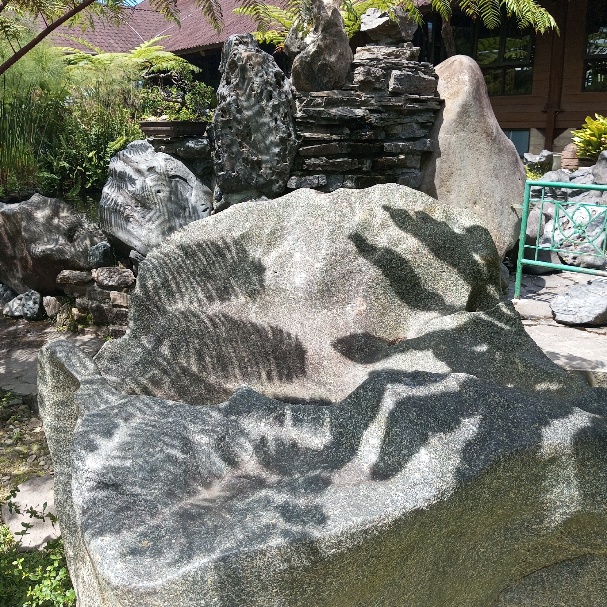 The image shows a stone garden feature, likely a water feature, in an outdoor setting. The primary subject is a large, grey, weathered boulder in the foreground, with intricate patterns of fern-like shadows cast upon it. Behind this boulder, there are several other rocks of varying sizes and shapes, some stacked to form a tiered structure, possibly a miniature waterfall or rock garden. The background includes lush green foliage, a brown tiled roof of a building, and a green metal fence. The location is identified as Laugumba, Indonesia. There are no people visible in the image. The scene appears to be a tranquil, naturalistic landscape designed with stones and plants.