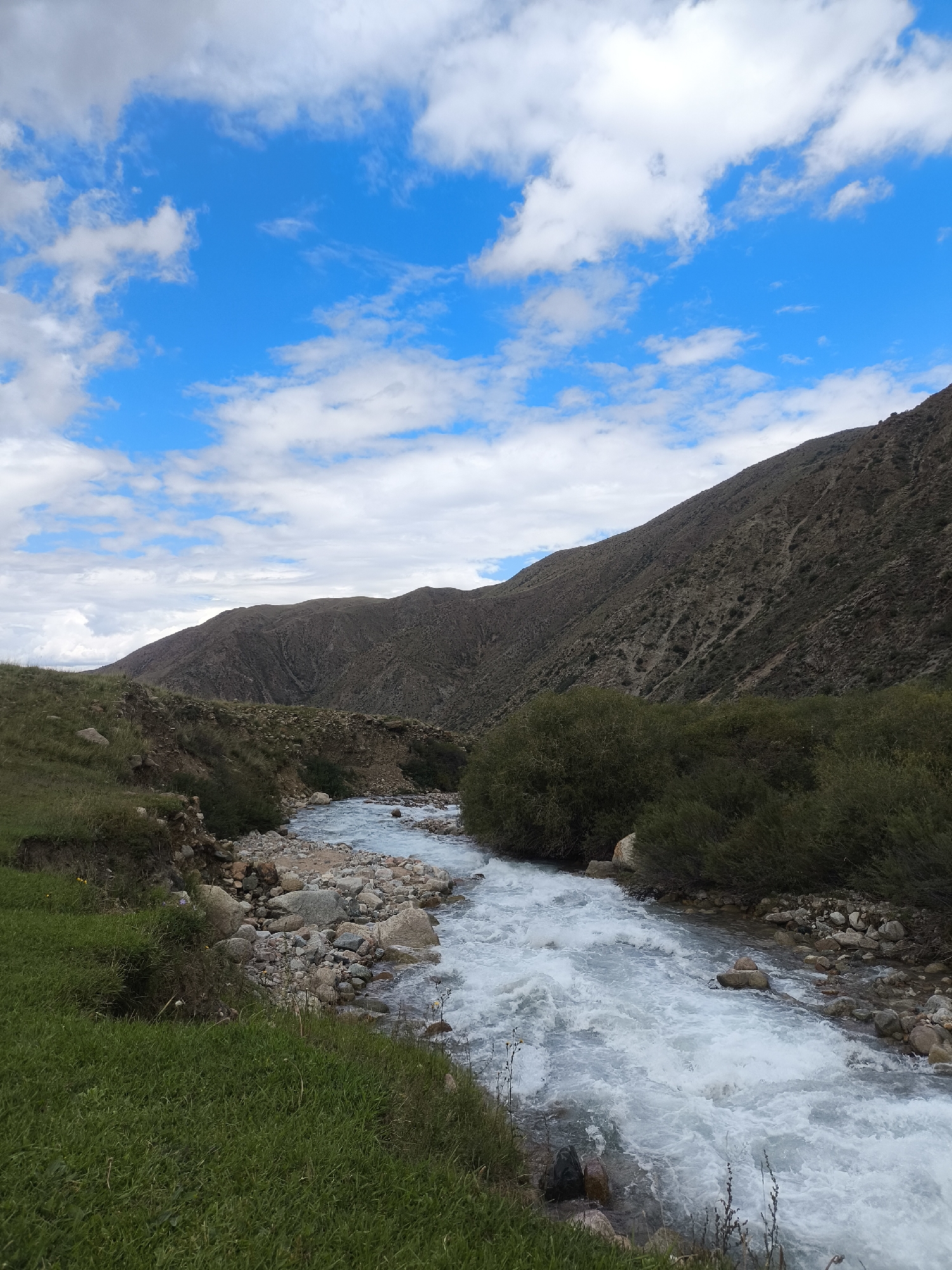 A turbulent, milky blue river flows through a rocky, green-streaked gorge under a bright blue sky dotted with white clouds. The river is in the foreground, with the right bank lined with dense green bushes and the left bank a grassy slope. Behind the gorge, a large, barren mountain rises, its dark brown slopes covered in small rocks and sparse vegetation. The sky is clear and bright, with scattered fluffy white clouds. The scene appears to be in a remote, natural setting, likely in the mountains.