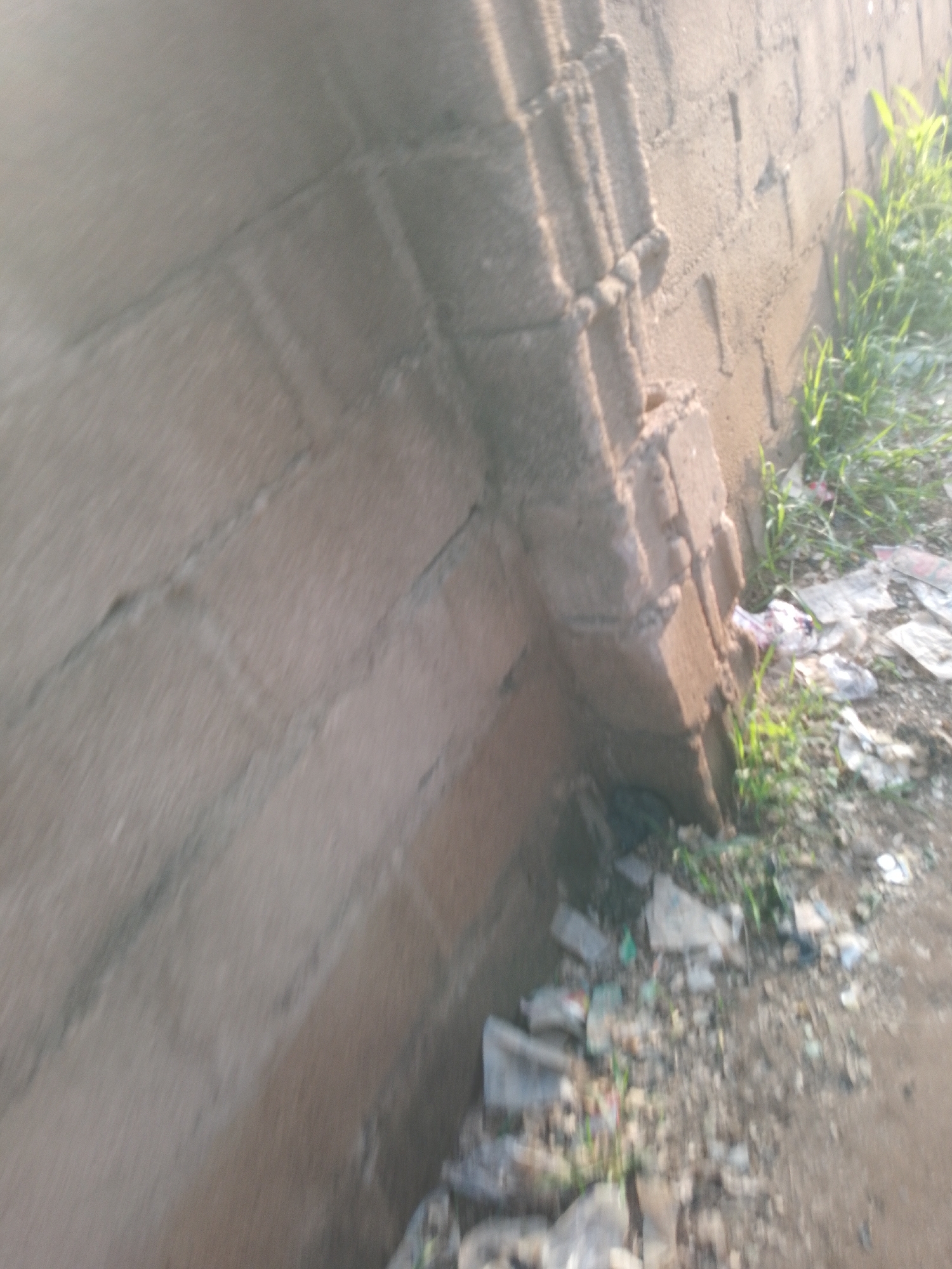 A concrete block wall, showing wear and damage, stands at an angle. Green grass and debris, including plastic wrappers and other refuse, are visible at the base of the wall. The scene appears to be outdoors, possibly in an urban or semi-urban environment given the presence of the concrete block construction and scattered litter. The lighting suggests it may be daytime, with a soft, diffused light.