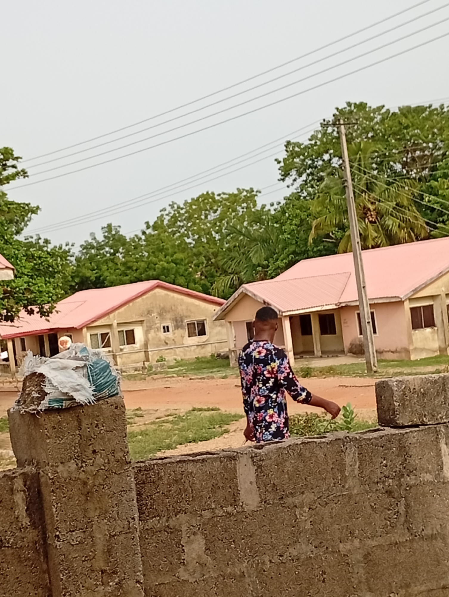 A medium shot captures a person from the back, wearing a colorful floral shirt, standing in front of a low concrete wall in Adankolo, Nigeria. The wall is constructed of concrete blocks and appears aged. Behind the wall are several one-story buildings with pink roofs. The buildings look like residential units, situated on a sandy or dirt ground. Trees and foliage dot the landscape behind the buildings. Overhead electrical wires are visible against a light sky. There appears to be an overcast or muted natural light illuminating the scene.