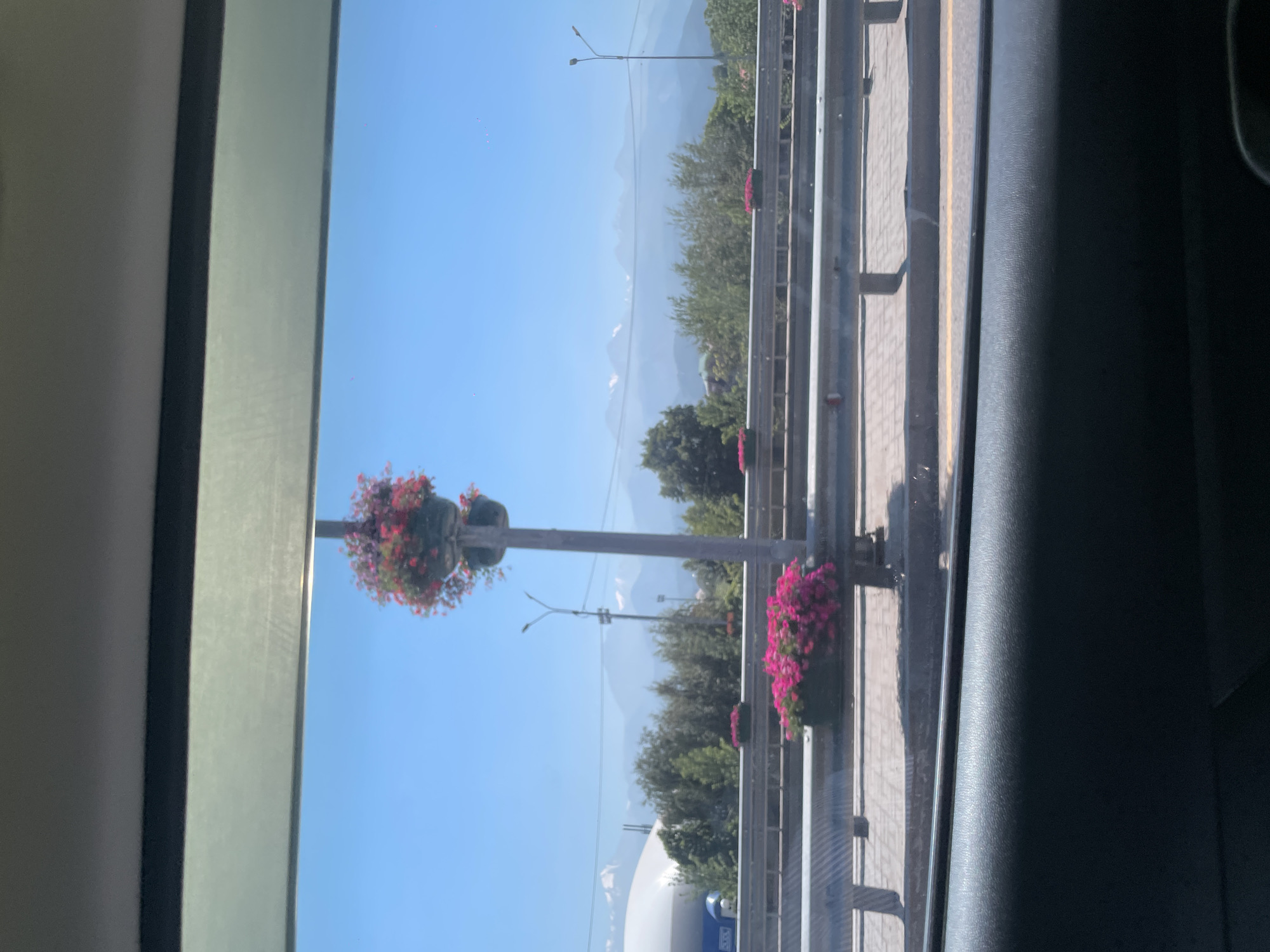 A car window provides a view of a roadside scene in Almaty, Kazakhstan. In the foreground, the dark interior of a car is visible. Beyond the window, a metal guardrail runs horizontally across the frame, with several planters filled with bright pink flowers placed on top of it. A tall pole with two hanging baskets of flowers, also in shades of pink and red, stands to the right of the guardrail. In the background, a line of trees separates the road from a distant mountain range under a clear blue sky. A large white dome-shaped structure is visible to the left, partially obscured by trees, and a street lamp stands to the right of the flower pole. The scene appears to be a sunny day with good visibility.