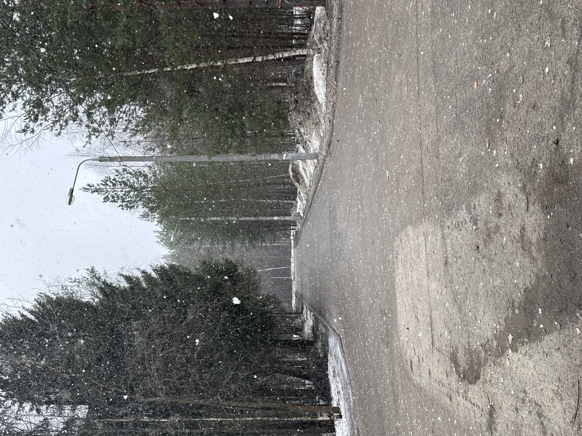 The image depicts a winter scene in Perm, Russia. A grey asphalt road occupies the right side of the frame, lightly speckled with falling snow. To the left of the road, a narrow strip of snow and ice separates the road from a dense forest. Tall trees, some with white birch-like bark, are visible, their branches heavy with snow. Snowflakes are actively falling, obscuring the background and creating a hazy atmosphere. Several streetlights line the left side of the road, receding into the distance. There are no people visible in the frame.