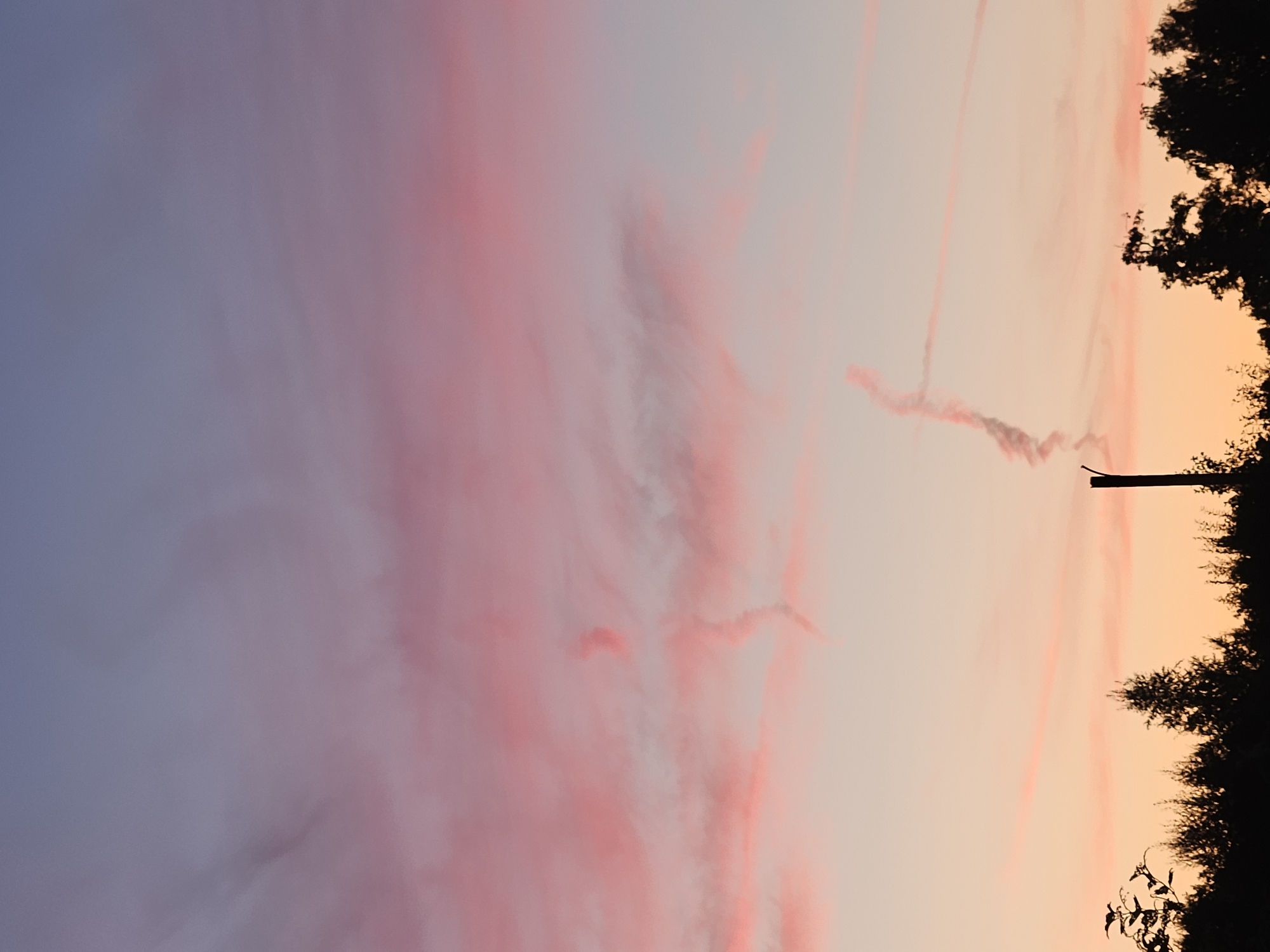 This is a vertical, medium-shot photograph of a dusky sky with a silhouetted treeline in the foreground. The sky displays a gradient of colors, transitioning from a light lavender at the top to pale orange and pink near the horizon. Wispy clouds, tinged with pink, are scattered across the sky. In the center of the frame, a thin plume of white smoke rises from behind the treeline, appearing to originate from a single point, possibly a chimney. The treeline is a dark silhouette, composed of various trees, with some branches extending into the lower sky. A dark, vertical pole-like object is visible on the right edge of the frame. The overall atmosphere is serene and suggestive of either sunrise or sunset. The location is identified as Kurovo, Russia.