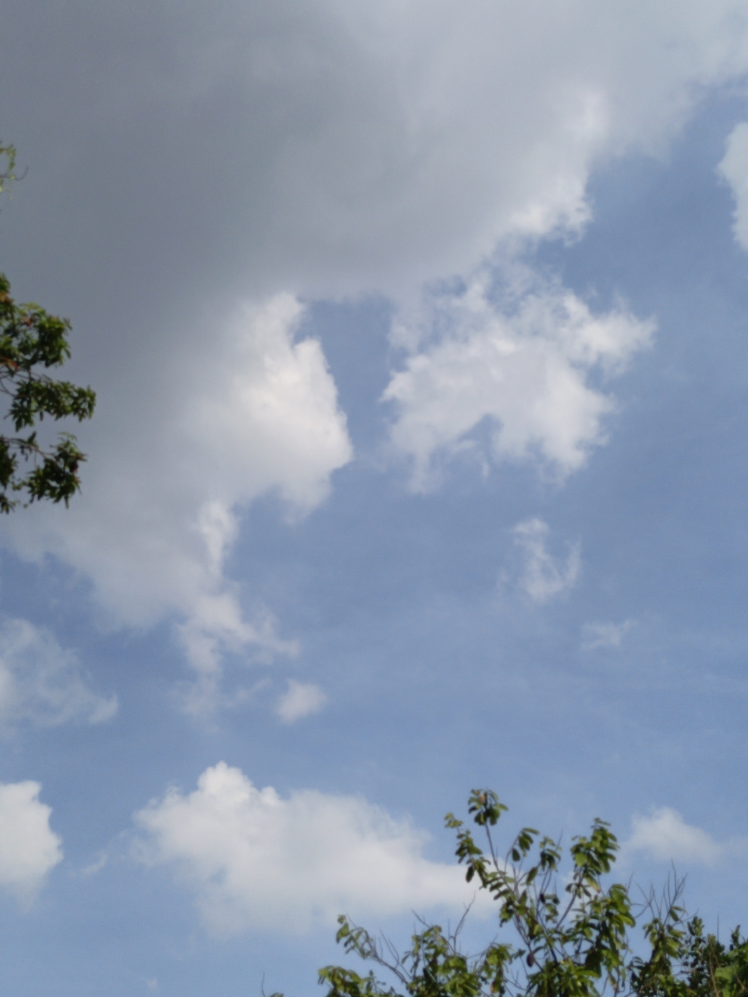 The image shows a partly cloudy sky with the tops of trees visible in the lower left and lower right corners. The sky is a gradient of light blue to gray, indicating potential overcast conditions or the presence of darker clouds. There are scattered white cumulus clouds in the blue portion of the sky. The trees are lush and green, with thin branches. No people, buildings, or other specific landmarks are visible, so it is not possible to determine the exact location within Gedung Nyapah, Indonesia, from this image alone. The scene is static and depicts a natural outdoor environment.