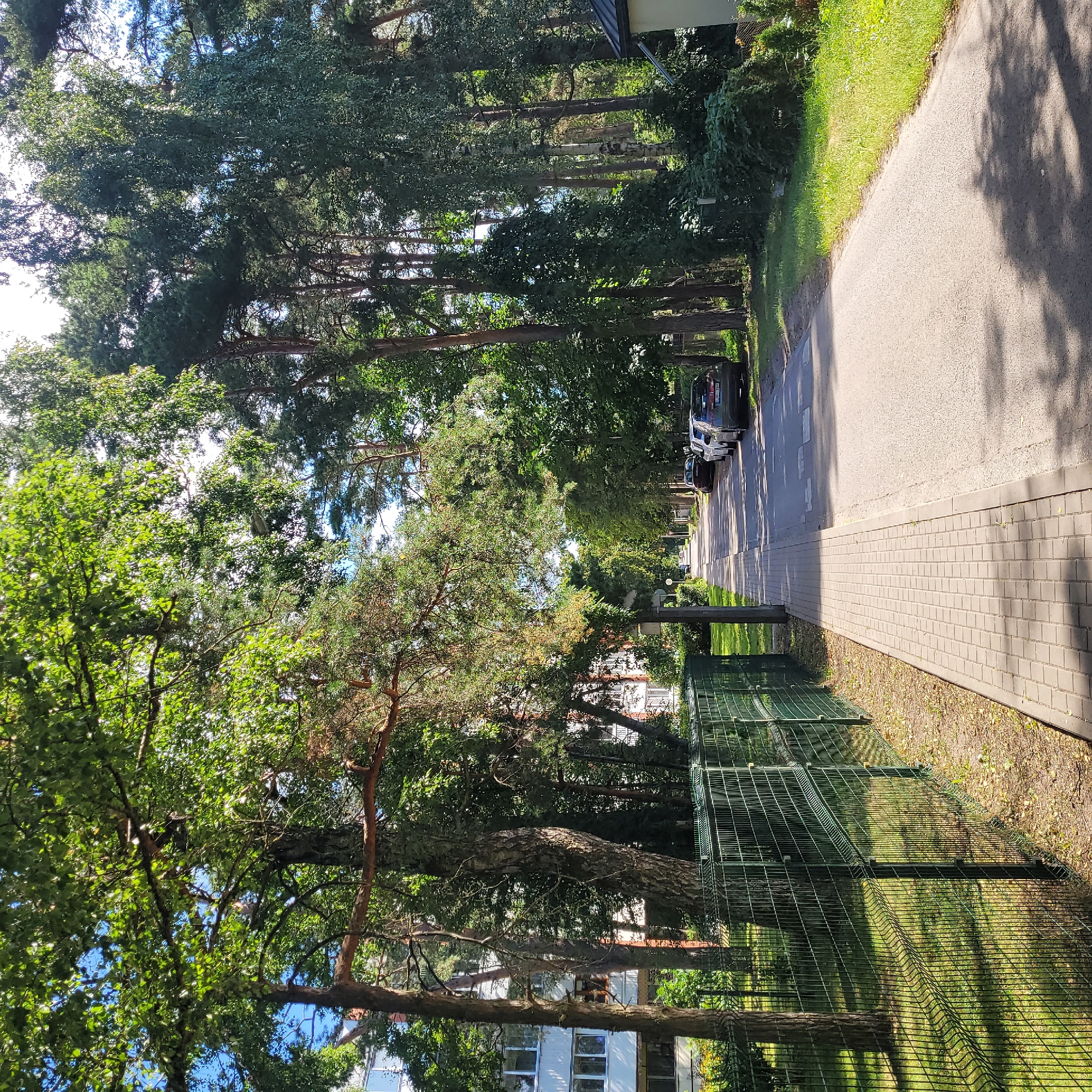 The image depicts a tree-lined street in Jūrmala, Latvia, on a sunny day. On the left side of the street, a green wire fence runs along the sidewalk, which is paved with light gray square tiles. Behind the fence, a multi-story building with white siding and numerous windows is visible, partially obscured by trees. The right side of the street features a paved road where several cars are parked, including a dark gray sedan with a license plate reading "LHU 397". The road is bordered by lush green grass and mature trees, including tall pine trees and deciduous trees with dense green foliage. Sunlight filters through the leaves, casting dappled shadows on the pavement and grass. The street stretches into the distance, appearing to curve slightly. The sky is a clear blue, with some bright sunlight.