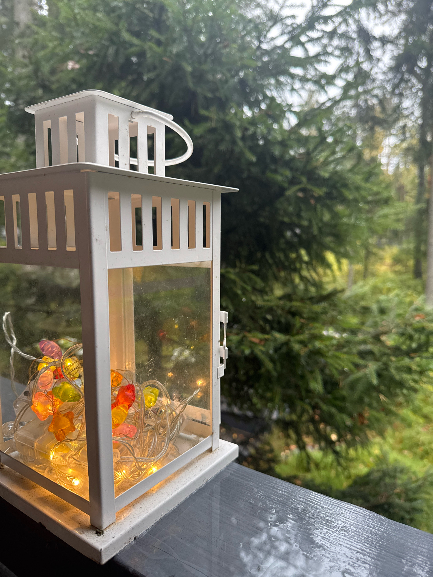 A close-up, eye-level, outdoor shot captures a white metal lantern with glass panels, resting on a dark, wet wooden surface. Inside the lantern, a string of small, colorful lights, shaped like hearts and stars in shades of red, orange, yellow, and pink, illuminates the interior. A thin white string drapes from the lights, suggesting they are battery-operated. Behind the lantern, a blurred backdrop of lush green pine trees creates a natural, forest-like setting, indicating this location is likely in Arfa, Russia, where such scenery is common. The wooden surface appears damp, possibly from rain, with small droplets visible. The lighting is soft, with the lantern's lights casting a warm glow. No people are present in the image.