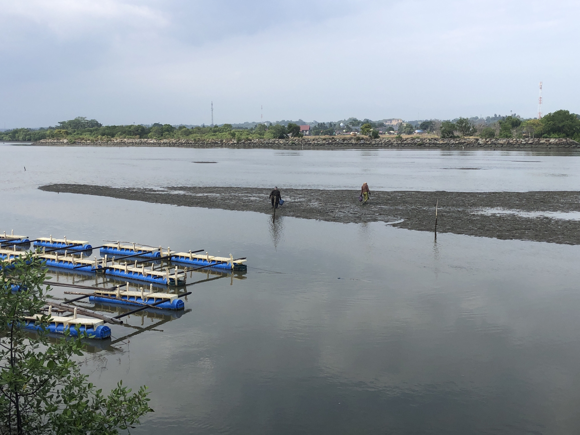 The image captures a waterfront scene in Lhokseumawe, Indonesia. In the foreground, a cluster of floating structures, likely for aquaculture or fishing, are visible. These structures consist of blue floats and wooden platforms. To the right, the water recedes to reveal a muddy, exposed seabed where two individuals are walking. One person, dressed in darker clothing, carries a bucket. The other individual, in lighter clothing, also appears to be carrying something. The background shows a densely vegetated shoreline with trees and buildings, suggesting a populated area beyond the immediate waterfront. Two communication towers are discernible on the horizon, common features in Indonesian urban landscapes. The sky is overcast, casting a subdued light on the scene. The overall impression is of an active, yet quiet, day at the water's edge, likely engaged in local industry or sustenance activities.