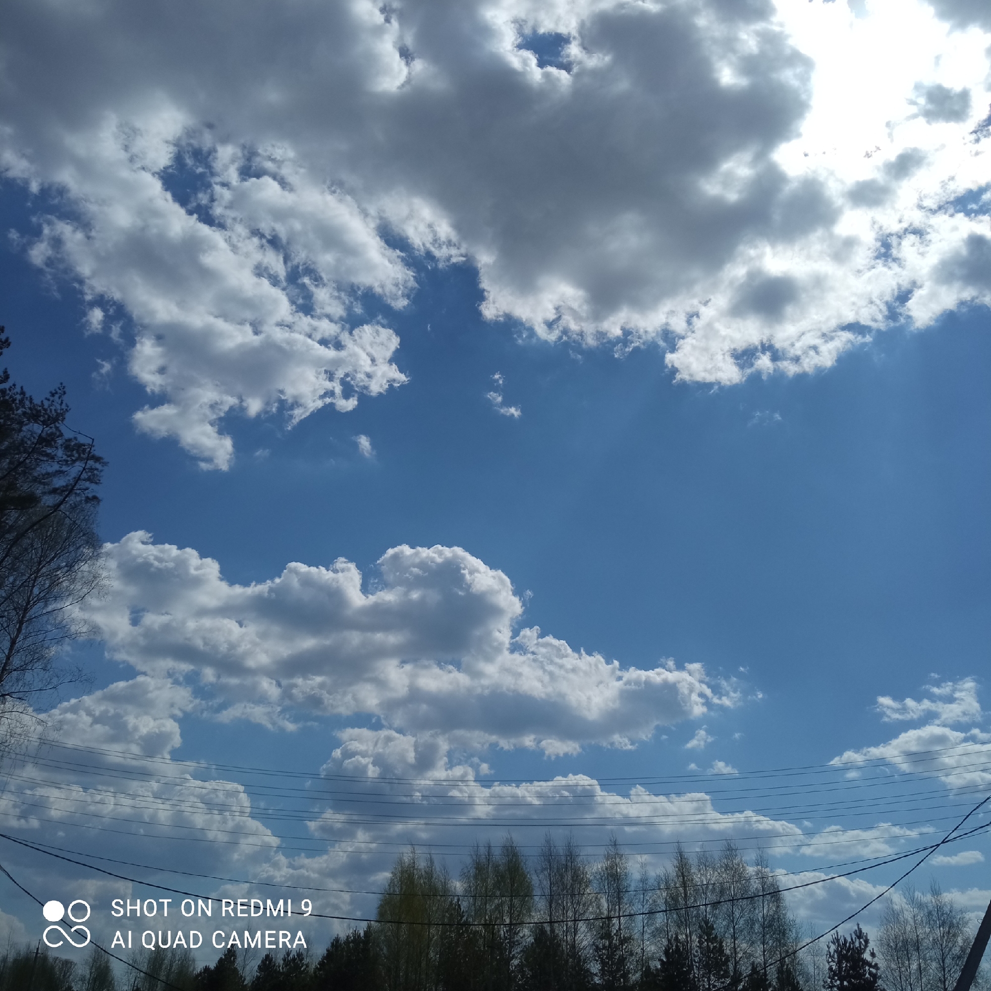 The image shows a daytime view of the sky with clouds. Cumulus clouds are scattered across the blue sky, with some larger formations at the top and bottom of the frame. The sun is visible through a break in the clouds, causing some glare. A stand of trees is visible at the bottom of the frame, with power lines running across the lower portion. The location is likely Прикамский, Russia.