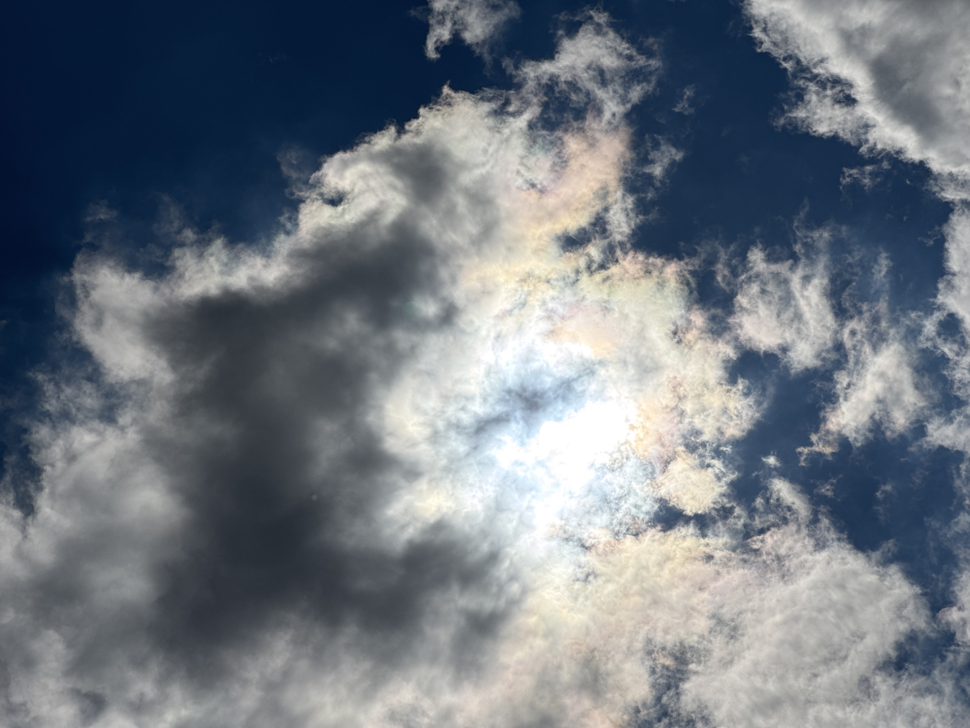 A full-frame, vertical, eye-level shot captures a dramatic sky scene filled with clouds and the sun. The sky is a deep, rich blue, providing a stark contrast to the white and gray clouds that dominate the frame. The sun is partially obscured by a large, dark gray cloud formation in the upper center of the image. However, the sun's brilliance still shines through, creating a bright, almost ethereal glow. Around the sun, and interspersed with the lighter clouds, are iridescent patches of color, displaying hues of pink, yellow, and pale green, suggesting the presence of a cloud iridescence or sun dog effect. The clouds are varied in texture, with some appearing dense and opaque, while others are wispy and translucent. The image appears to be taken outdoors in an open environment, likely from ground level looking up. There are no people, animals, or man-made structures visible in the scene. The focus is entirely on the atmospheric phenomenon of the clouds and sunlight.
