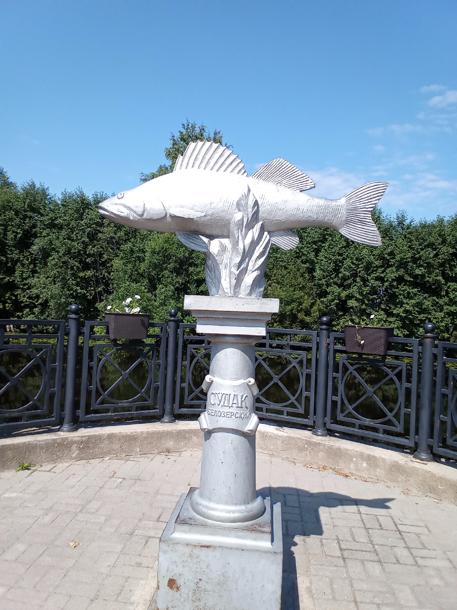 This is a full-shot, eye-level, outdoor photograph of a monument dedicated to the zander fish, located in Belozersk, Russia. The monument, a silver-colored statue of a zander on a pedestal, is the central subject. The fish is depicted horizontally, with its head facing left, supported by a stylized flame-like structure on the pedestal. The pedestal itself is made of stone or concrete and has some inscriptions. The monument is situated near a body of water, visible behind a dark metal fence with circular decorative elements. Flower planters are attached to the fence. The ground in front of the monument is paved with light-colored bricks. A shadow of the fish monument is cast on the paved ground. In the background, lush green trees form a dense foliage line, and the sky above is a clear, bright blue with a few wispy clouds. There are no people visible in the image.