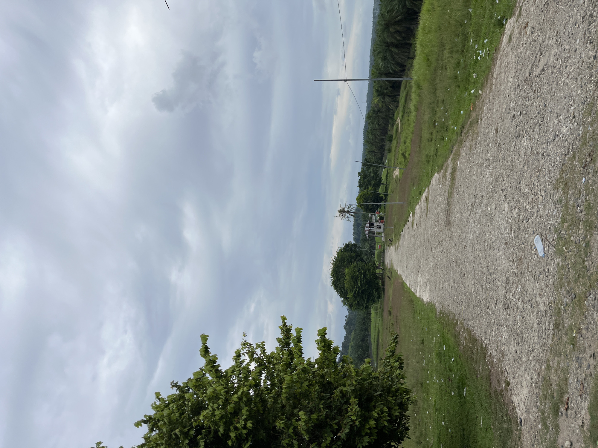 This image captures a rural landscape in Sukaramai Dua, Indonesia. A rough, gravel road meanders through grassy fields, leading towards a cluster of trees and structures in the distance. The sky is overcast with heavy, grey clouds. On the left side of the road, a large, leafy tree dominates the foreground. To the right, the landscape opens up to reveal rows of palm trees, suggesting an agricultural area. A few scattered pieces of litter are visible on the grass and the roadside. In the distance, several simple buildings, possibly residences or small structures, are present. Utility poles with wires are also visible in the scene. The overall impression is one of a quiet, somewhat undeveloped, tropical rural setting.