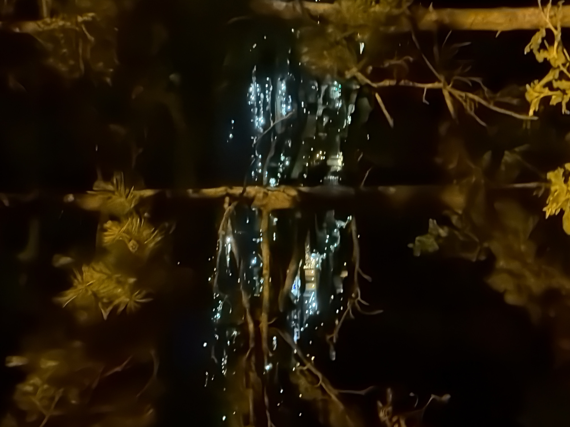The image depicts a nighttime view of a city or town from an elevated vantage point, likely a hillside or mountain. The foreground is dominated by the silhouettes of trees, with their branches and foliage softly illuminated by the ambient city lights. The branches appear to be pine or fir, given their needle-like appearance.
In the background, a sprawling landscape of lights indicates the presence of buildings, streets, and potentially houses. The lights are predominantly white and yellow, creating a warm glow against the dark night sky. Some clusters of lights suggest concentrated areas of development, possibly commercial districts or residential neighborhoods. One larger structure with multiple illuminated windows is visible in the mid-ground, suggesting a hotel, resort, or large apartment building. The overall impression is one of a peaceful, illuminated town nestled within a natural, dark environment.
The exact location is not specified, but the scene suggests a mountainous or hilly region where a town or city has been built. The elevated perspective implies the viewer is looking down upon the urban landscape. The lighting conditions suggest it is nighttime, with minimal ambient light apart from the artificial illumination of the settlement. There are no visible people or animals in the frame.