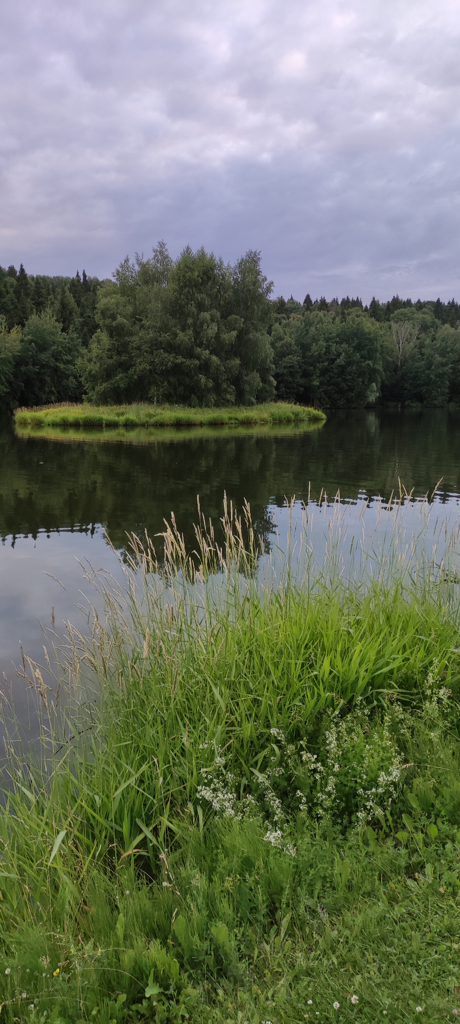 The image depicts a tranquil natural scene featuring a lake with a small, densely wooded island. The foreground is dominated by lush green grass and tall reeds reaching towards the water's edge. The lake's surface is dark and reflects the overcast sky and surrounding trees, creating a slightly somber mood. In the background, a thick forest forms a natural backdrop, with a variety of trees creating a textured canopy. The sky is filled with heavy, grey clouds, suggesting an impending rain or a generally cloudy day. The location is identified as Росинка Кп, Russia. There are no people or specific objects that indicate human activity, rendering the scene as a purely natural landscape.