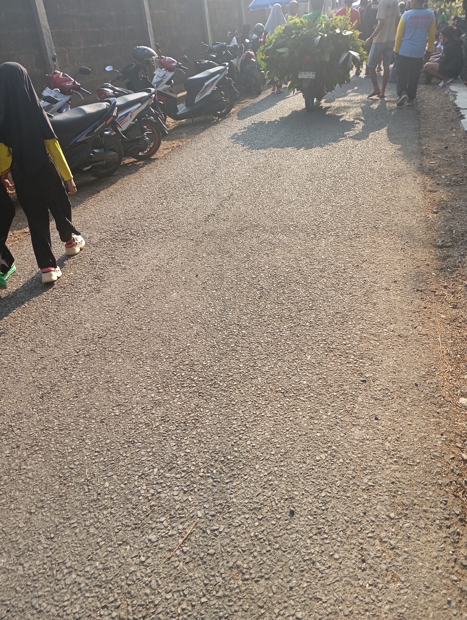 A medium-shot, eye-level, vertical, outdoor, daylight photograph captures a street scene in Ketepung, Indonesia. In the foreground, the asphalt road is speckled with pebbles, and to the right, dry grass and debris line the edge. The middle ground is dominated by a line of parked motorcycles, primarily scooters, facing left, against a low concrete wall. On the left side of the road, two individuals walk away from the camera. One, wearing a black hijab and black pants with a yellow long-sleeved shirt, is in motion. The other person, mostly obscured, is also walking. To the right of the parked motorcycles, several people are gathered. A motorcycle loaded with large bundles of green foliage is positioned in the center, with a person in a yellow shirt and blue vest standing near it. Other individuals are seen standing and squatting, their faces partially visible. The overall impression is of a busy street or marketplace, with people and vehicles present.