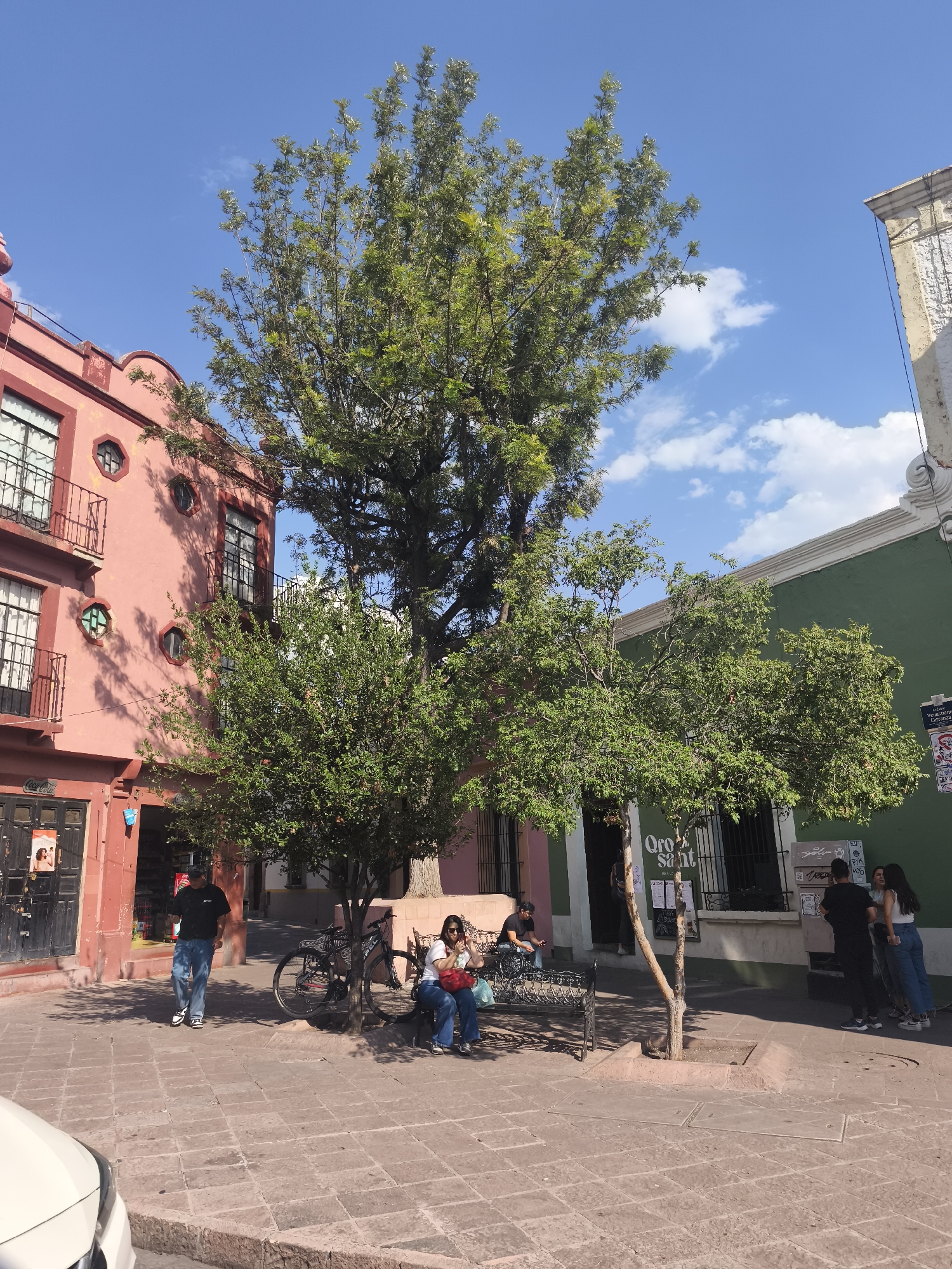 The image shows a public square in Querétaro, Mexico, on a sunny day with a blue sky dotted with scattered clouds. The square is paved with reddish-brown bricks. On the left is a three-story building painted salmon-pink with dark trim and round windows on the second floor. A man in jeans and a black shirt walks in front of the building. A bicycle is parked near a metal bench where two women are sitting. Behind the bench and the smaller tree is a narrow building whose front is painted green. A small tree grows out of a raised square area with a sign reading "Oro Sant" near its base. To the right, three people stand near the green building. A portion of a white vehicle is visible in the lower-left corner of the frame.