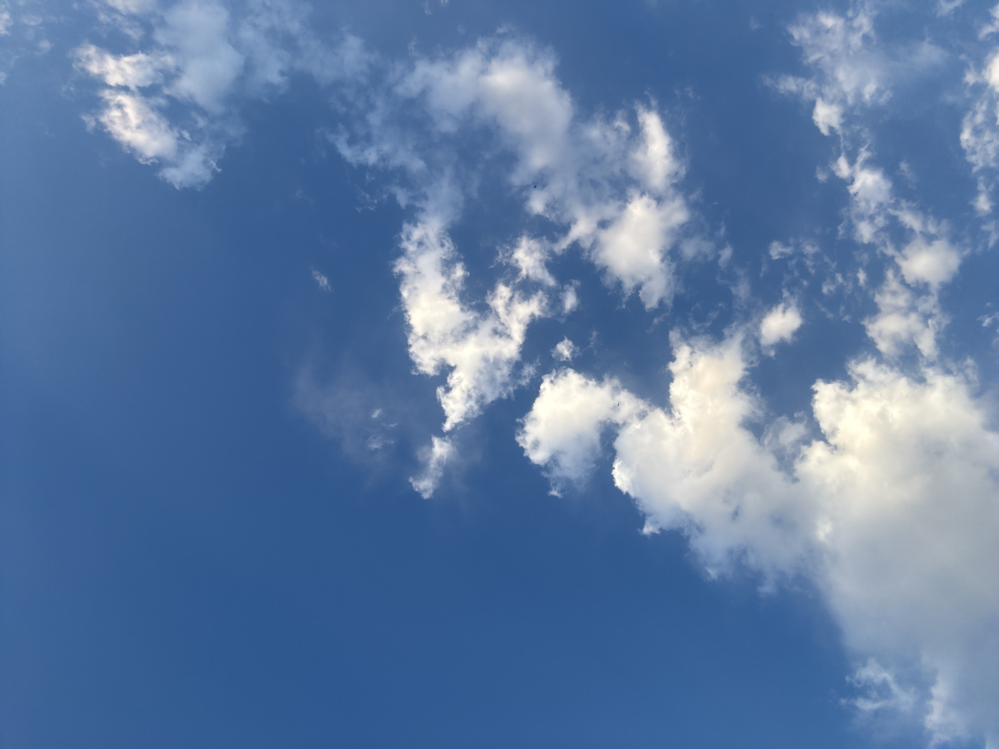 A vertical, low-angle shot captures a vibrant blue sky dotted with scattered white clouds. The clouds are wispy and varied in size, with some appearing more defined and others more diffuse. The lighting suggests it is daytime, possibly late afternoon or early morning, due to the soft illumination on the clouds. The overall scene is serene and expansive. There is no indication of the city of Aktau, Kazakhstan, or any specific urban elements. No people, subjects, objects, actions, or interactions are visible within the frame. The environment is solely the sky and clouds.
