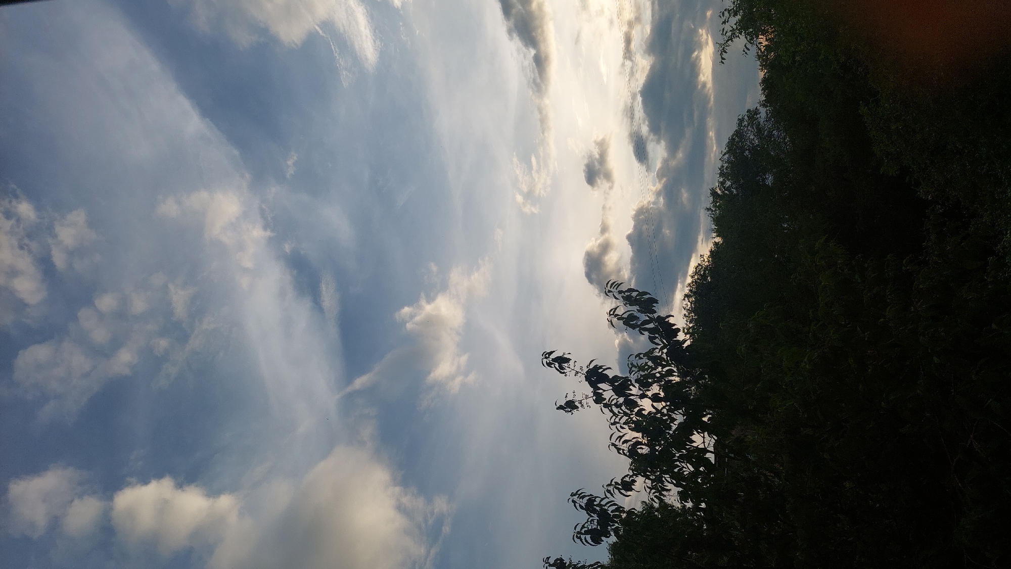 The image shows a sky with scattered clouds in the upper portion, transitioning to a dark, silhouetted canopy of trees in the lower portion. The sky exhibits shades of blue and white, with some wispy clouds appearing higher up and more dense clouds lower down, suggesting either dawn or dusk. The trees are densely packed, forming a dark, almost impenetrable mass against the lighter sky. There are no visible people or specific landmarks that would allow for precise localization within the city of Komsomolsk-on-Amur, Russia, or any other city. The scene is an outdoor natural environment, likely a wooded area or a park at the edge of a populated zone.