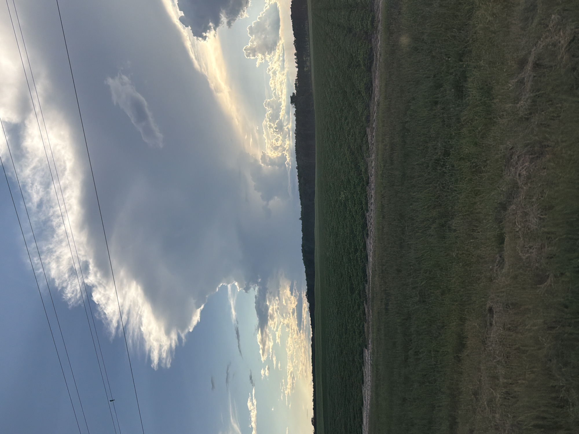 A wide shot captures a dramatic sky over a rural landscape in Andalusia, United States. In the foreground, a strip of dry, light brown grass is visible. Behind this, a vast, uniformly green field stretches to the horizon, possibly a cultivated crop. A dark line of trees forms a distant backdrop. The sky is filled with a large, imposing cumulonimbus cloud formation, its edges illuminated by the sun, creating a striking contrast between light and shadow. Smaller, scattered clouds with bright, sunlit edges are also present, adding depth to the sky. Several dark power lines stretch horizontally across the upper portion of the frame. No people or animals are visible in the scene.