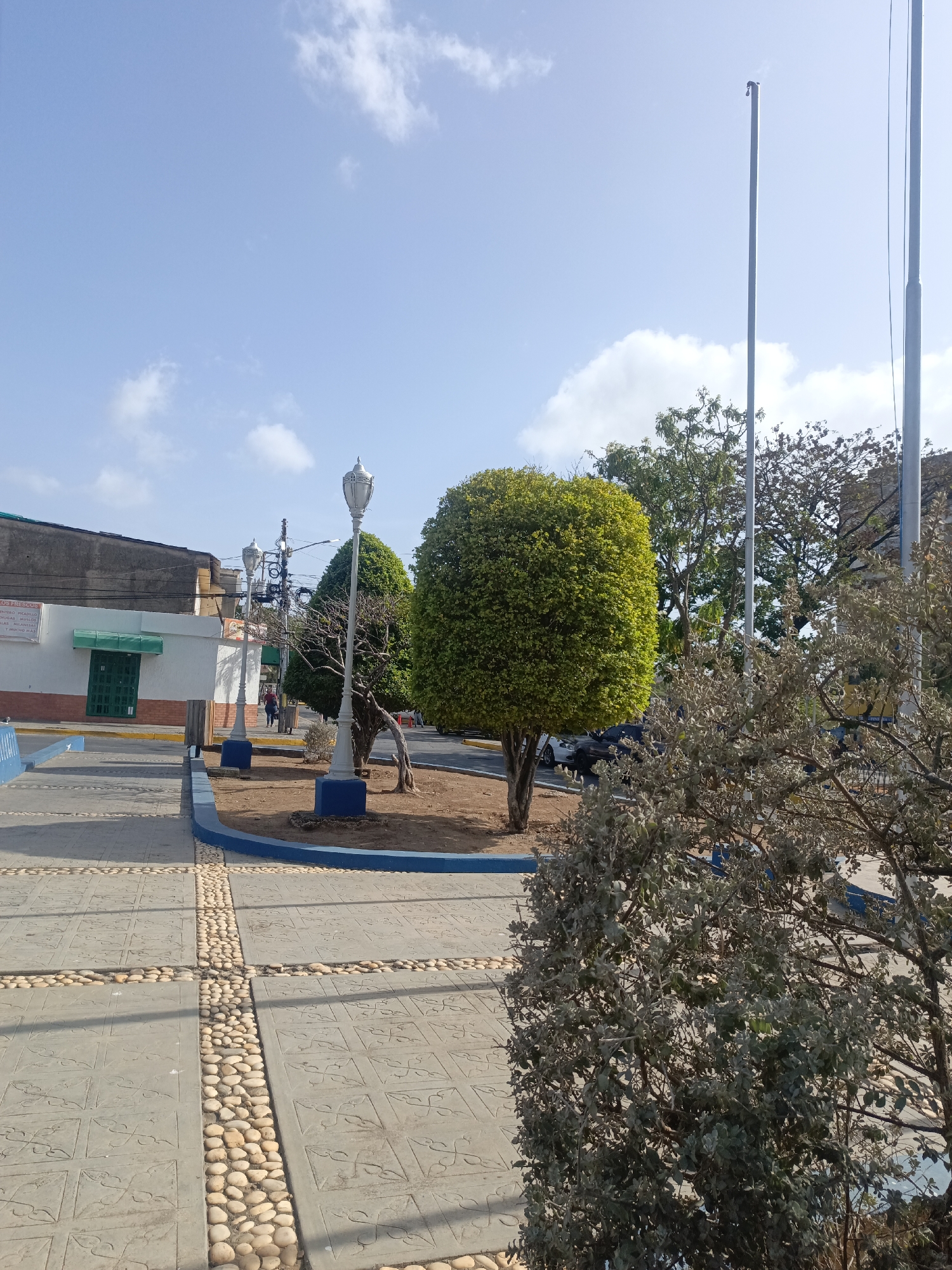 The image shows a public square in Juan Griego, Venezuela. The foreground is a paved area with decorative stone accents. Several trimmed, round trees are planted in circular plots bordered by blue paint. Ornate, vintage-style lamp posts stand next to the trees. In the background, buildings are visible, including one with a green-trimmed doorway. Two tall flagpoles stand in the distance. The sky is blue with scattered clouds. A person is visible walking in the mid-ground.