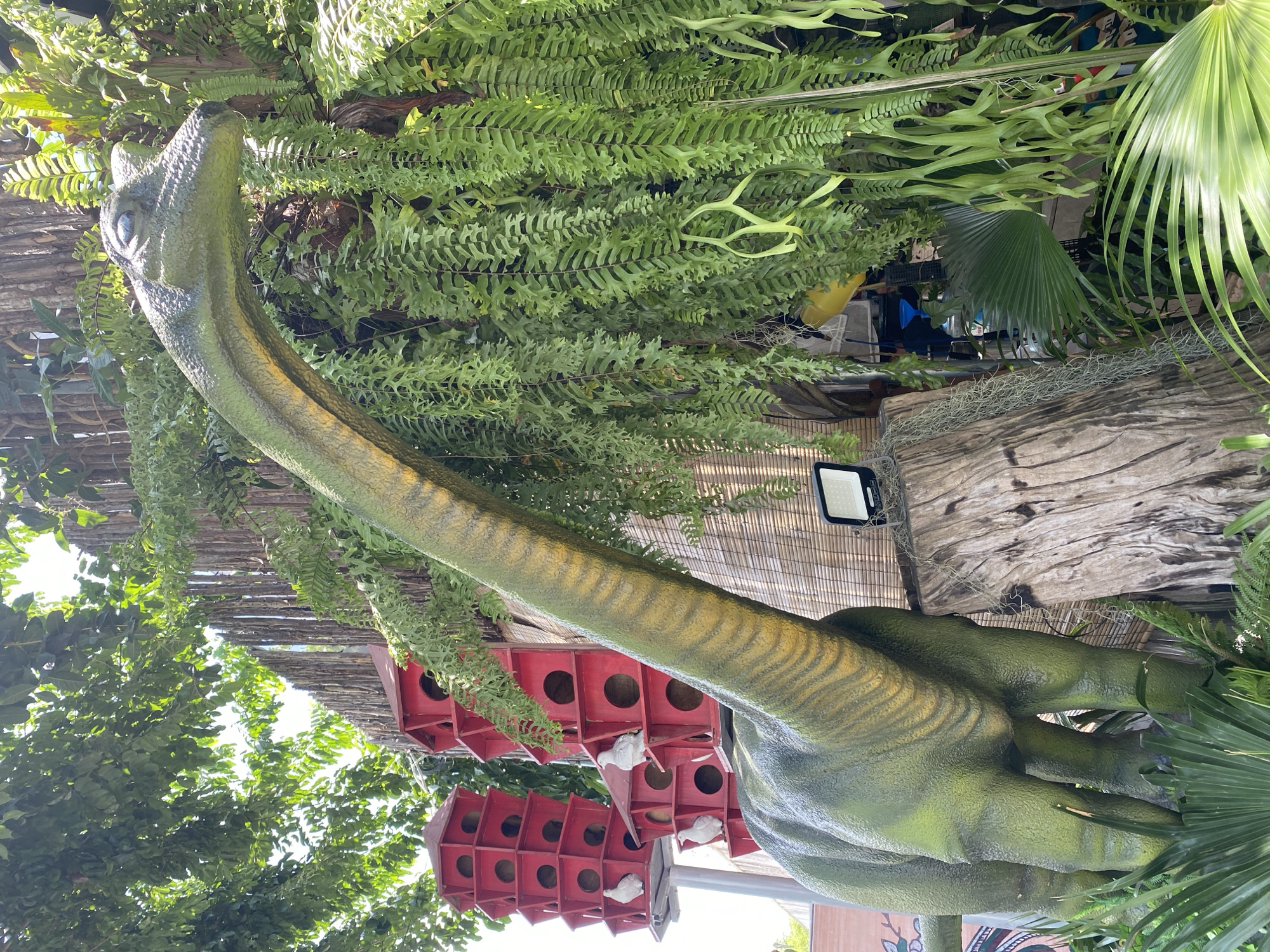 The image depicts an outdoor scene in Da Nang, Vietnam, featuring a large green dinosaur statue with a long neck. The statue is positioned in front of a background consisting of lush green ferns, bamboo fencing, and several red birdhouses stacked vertically. Three white birds are perched on the birdhouses. The foreground is filled with various green plants, including ferns and palm fronds. A large, weathered log is visible to the right of the dinosaur, with a small black spotlight mounted on it. The overall environment suggests a garden or a decorative outdoor space.