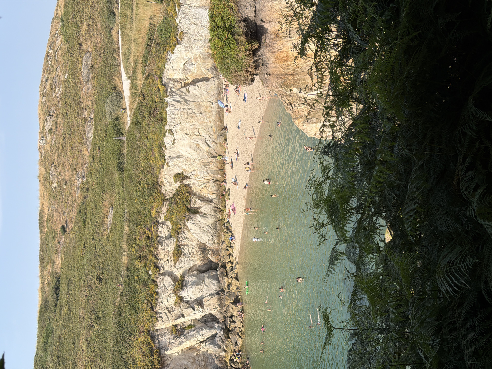 The image shows a view of a cove at Playa de Bastiagueiro Pequeño, near A Coruña, Spain. In the foreground, dark green ferns partially obscure the view. The middle ground features a sandy beach with numerous people sunbathing and swimming in the clear, turquoise water. The water is calm and inviting, with some individuals floating on inflatable toys. In the background, a steep, rocky cliff face rises, covered in green vegetation and some flowering plants. A path with a wooden railing is visible winding up the grassy hillside above the cliffs. The sky is a clear, pale blue. The overall scene depicts a sunny day at a popular beach location.